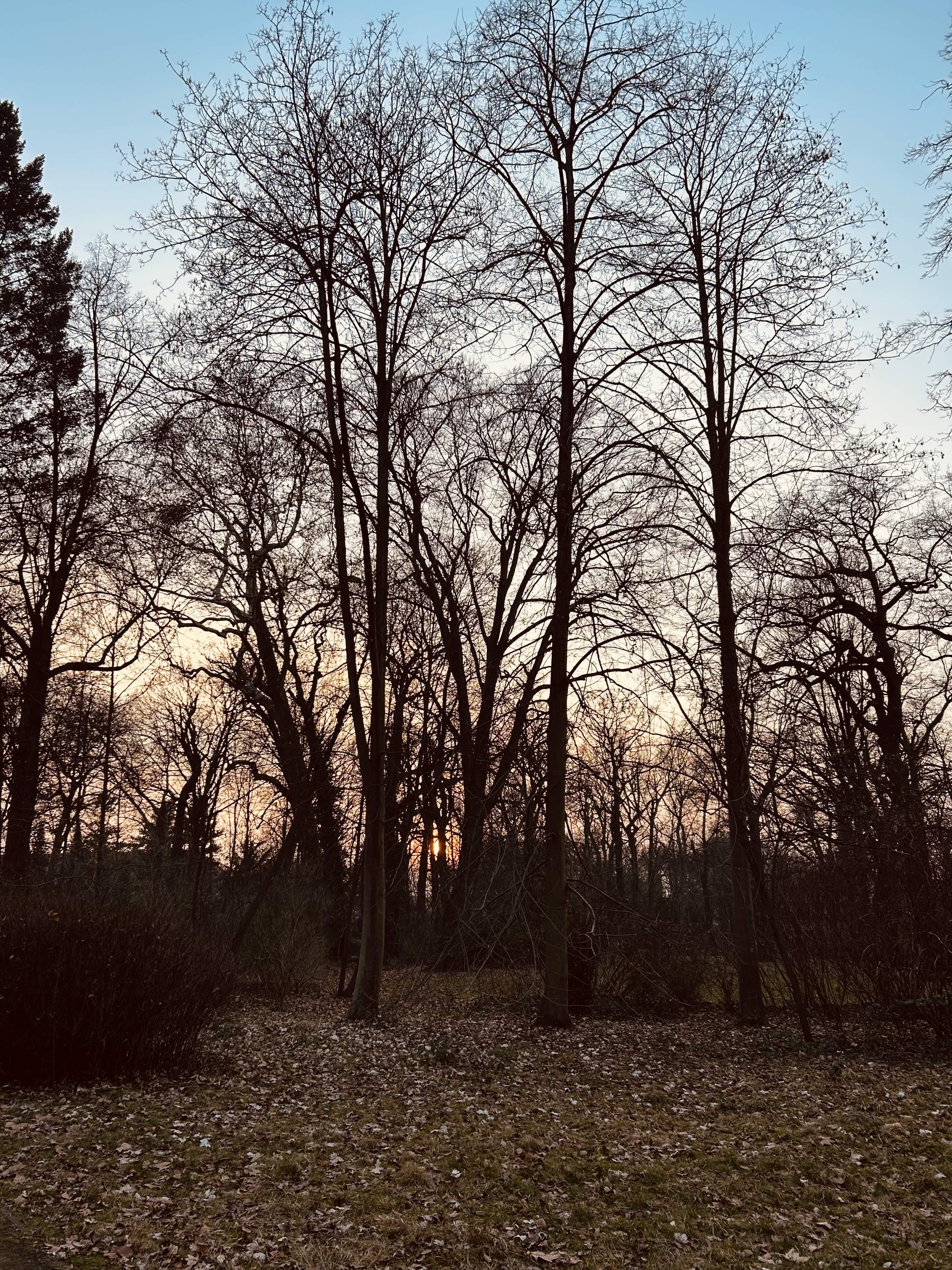 Lost in Transmission | Madame Shazzzam