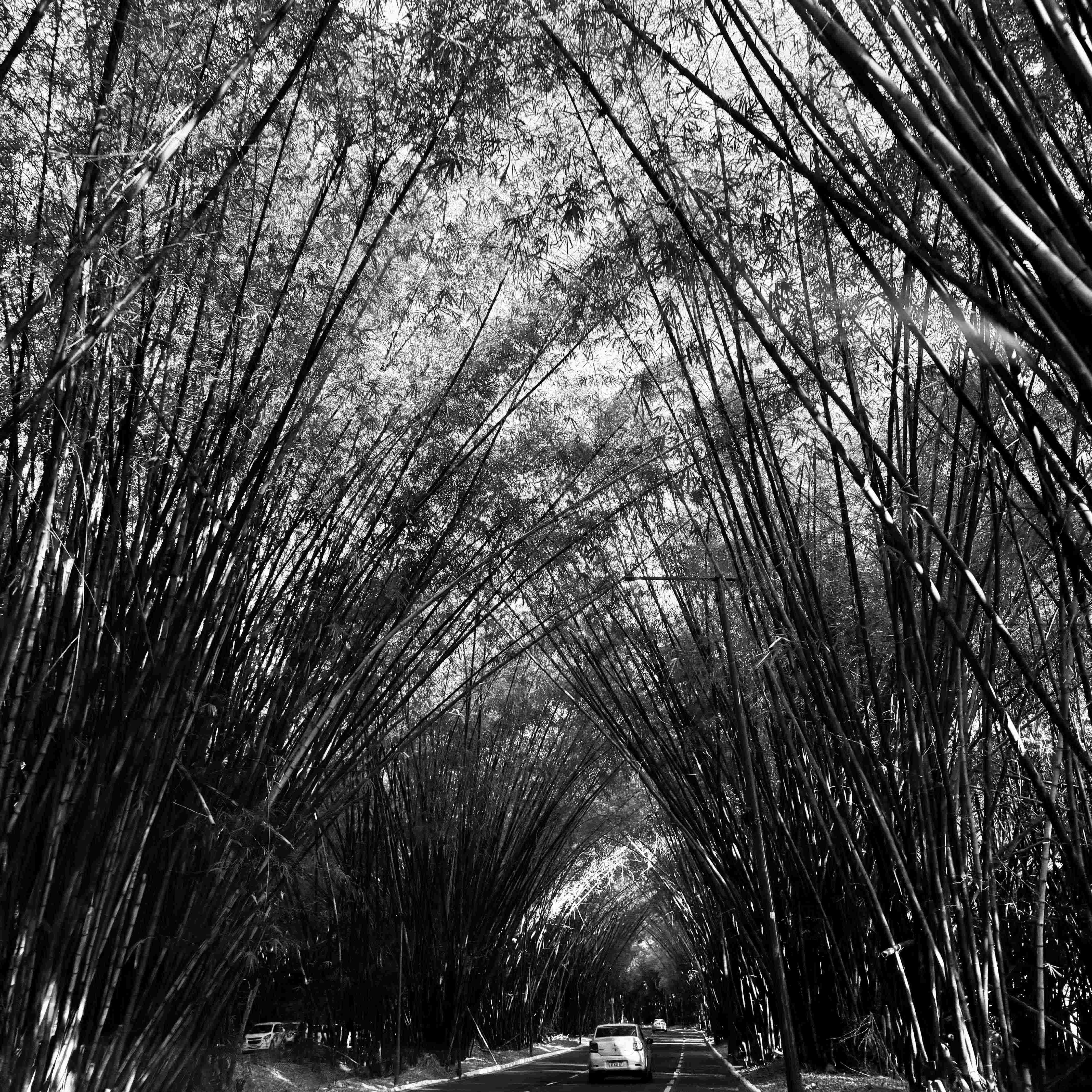 Uneven Oscillation | Courtroom Drama