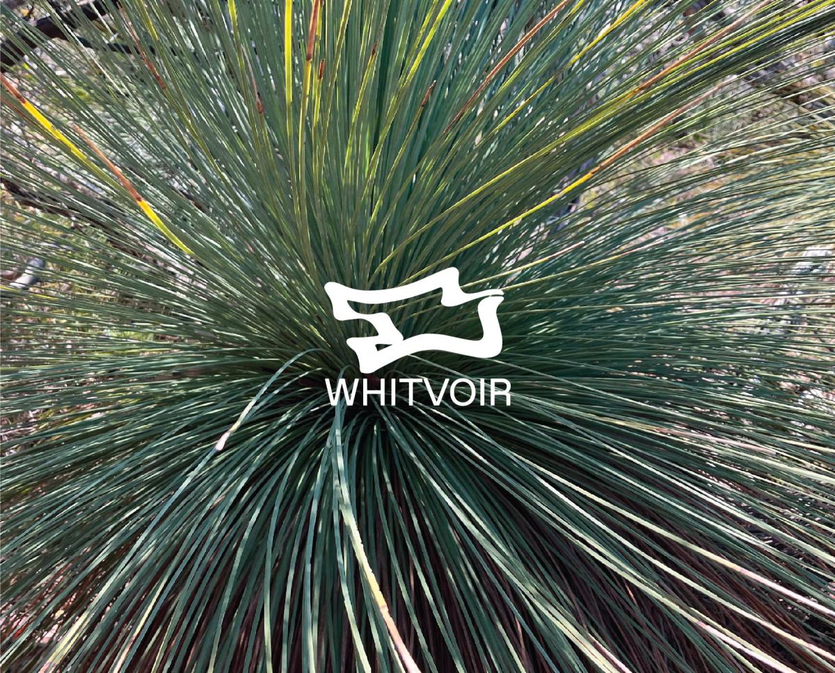 Whitvoir | Spinifex & Guy Contact