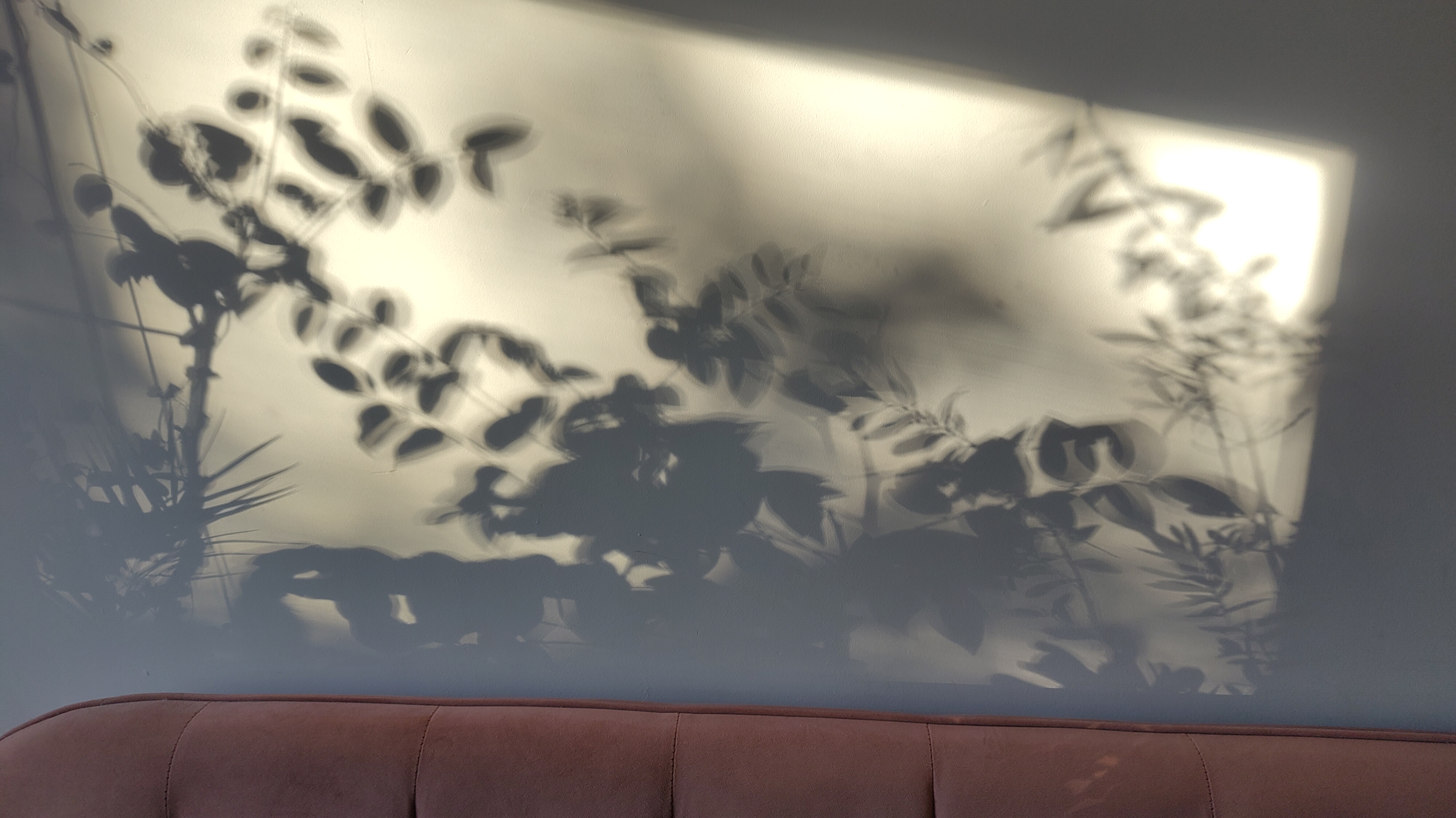 Come Closer | Houryar