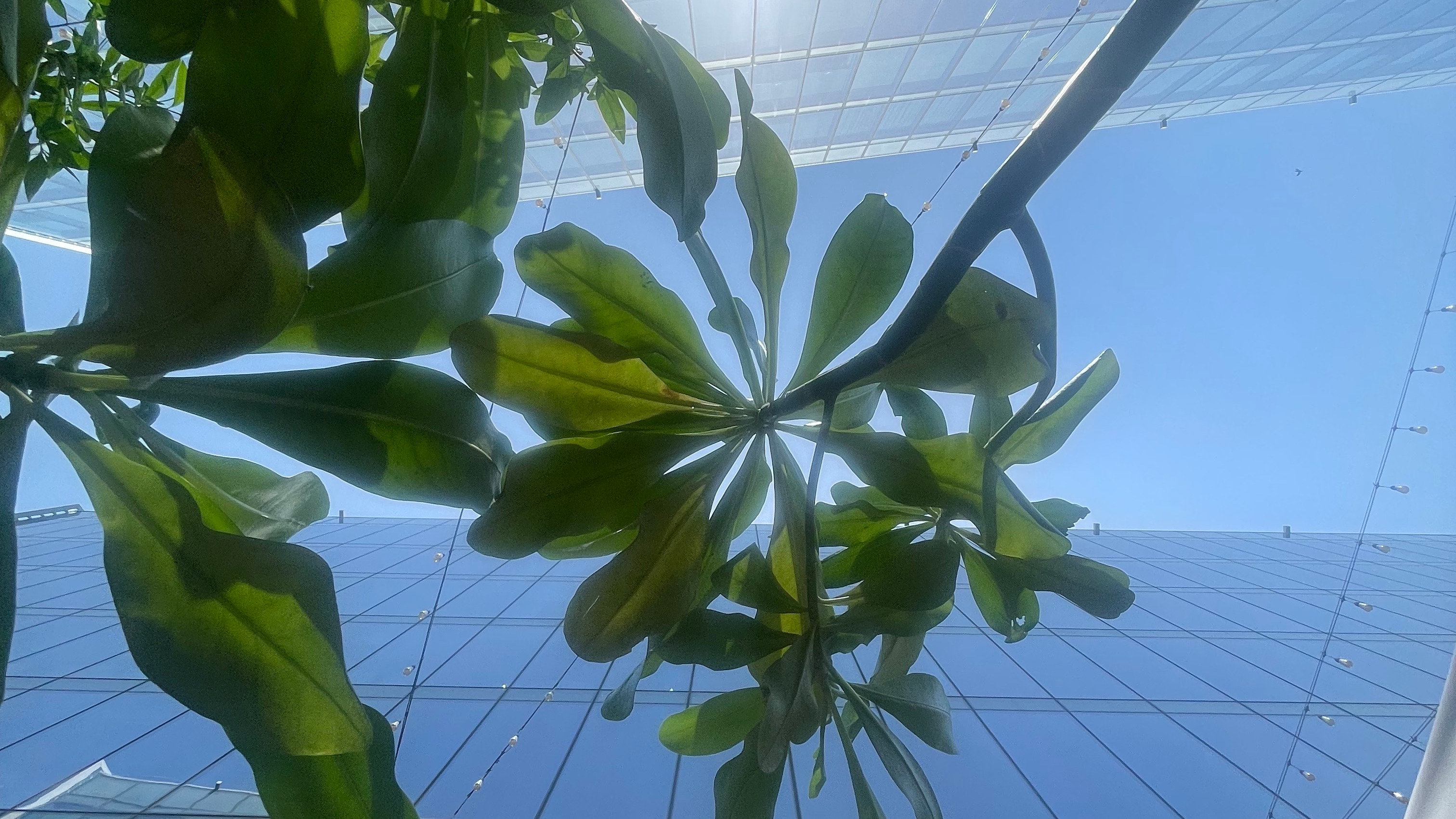 chasing the sun | baby k