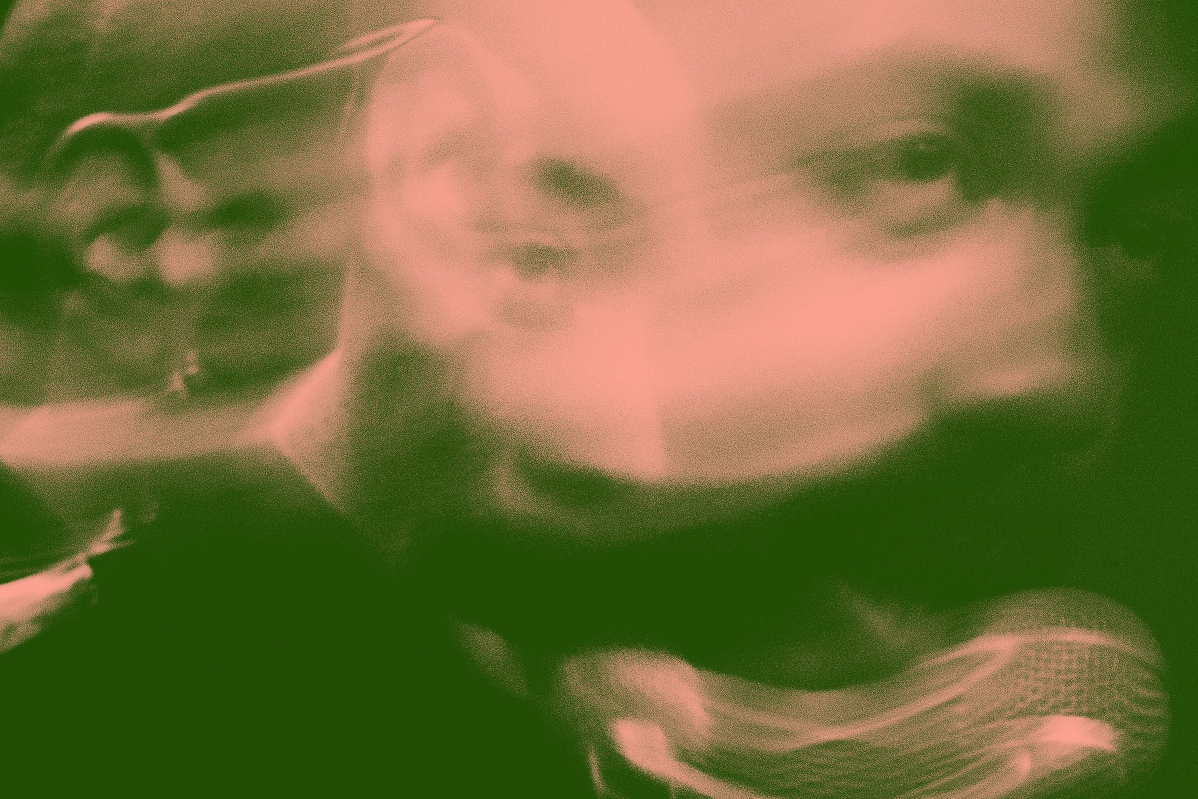 The Outlet | Murkage Dave