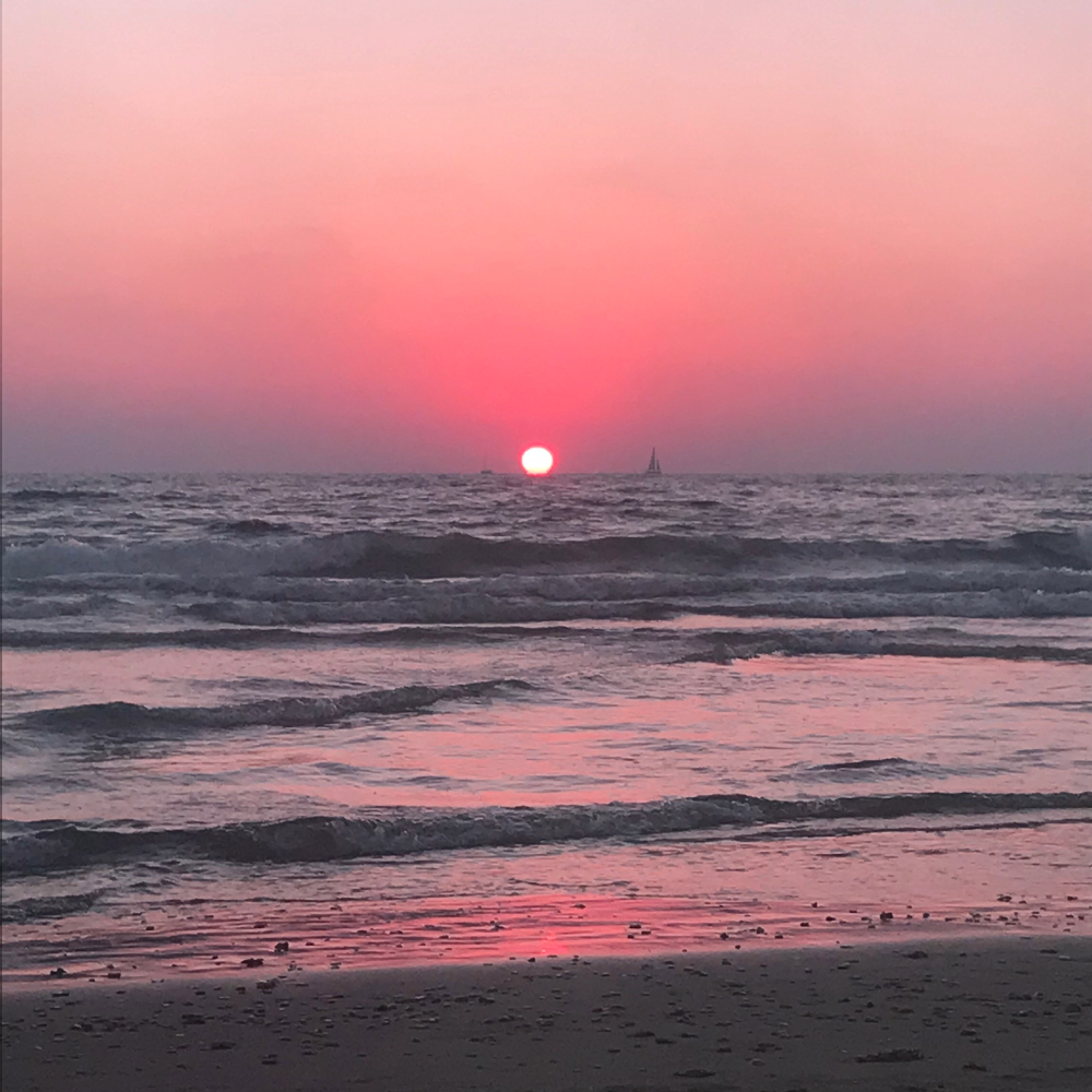 Lost in Transmission | Madame Shazzzam