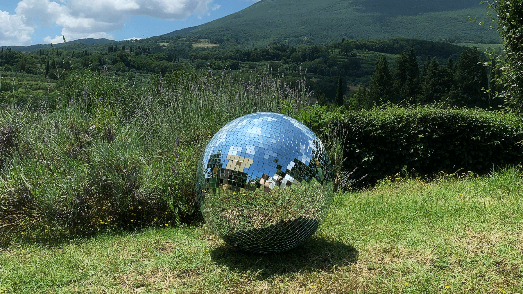 Inner City Foliage | Residency