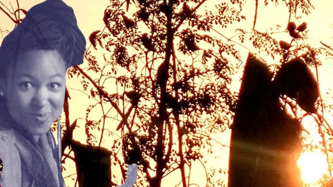 Music for kind people | ahefa