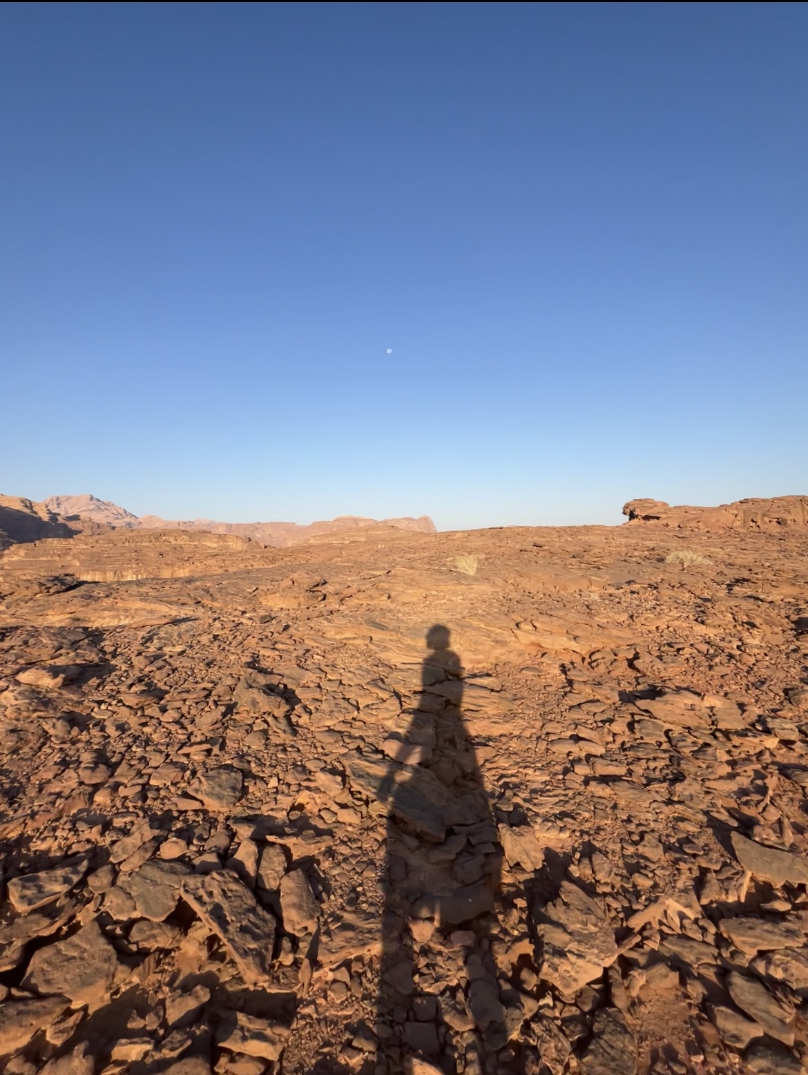 The Colour of Sound | Shamiro