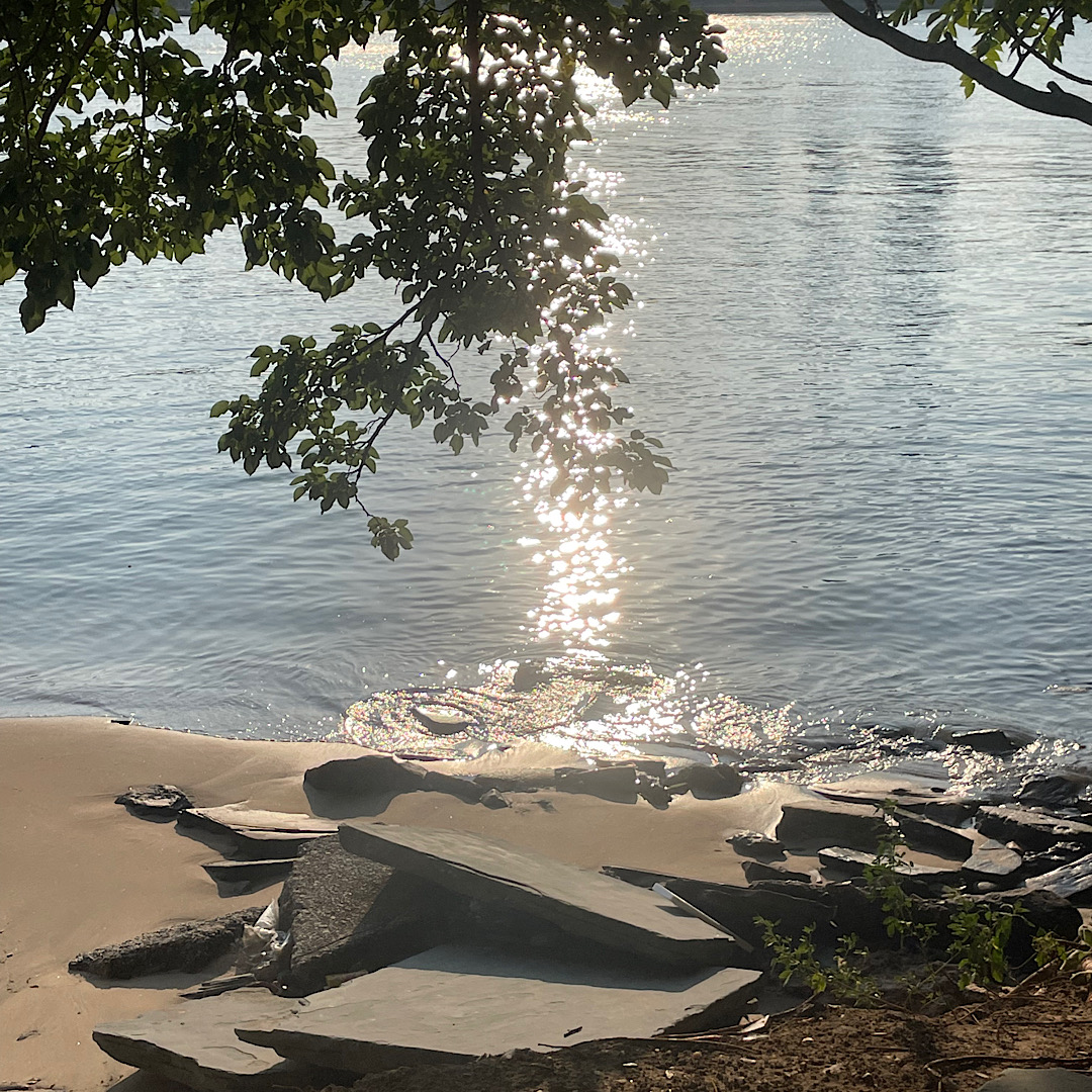 the kids are alright  | bella