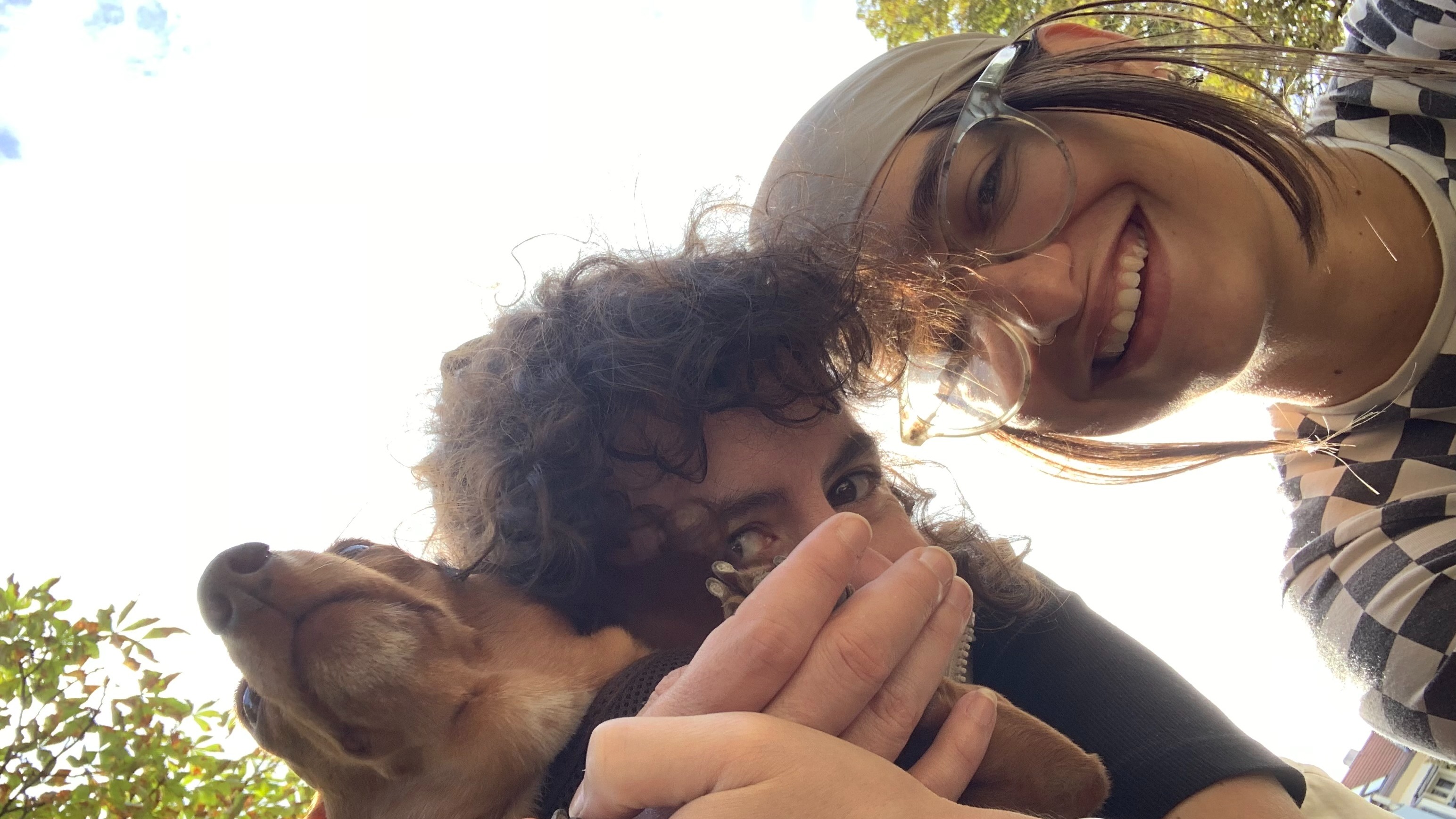 Therapy Dog | ophélie & MASQ