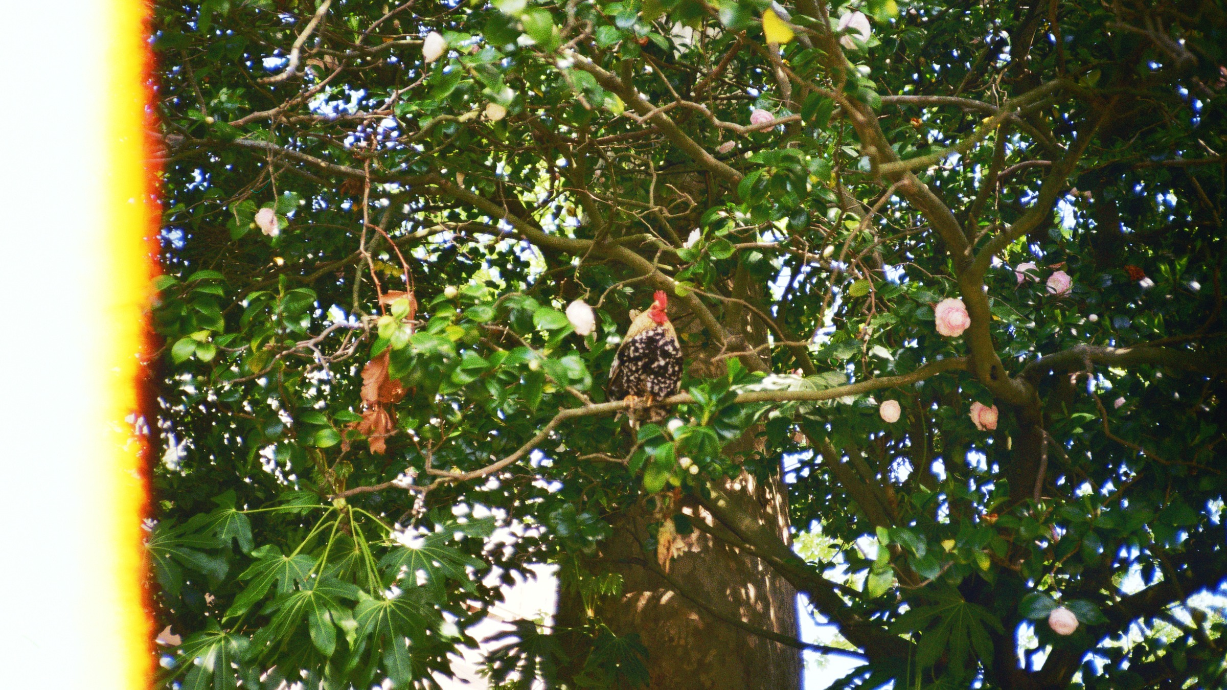 kaleidoscoping | krstn