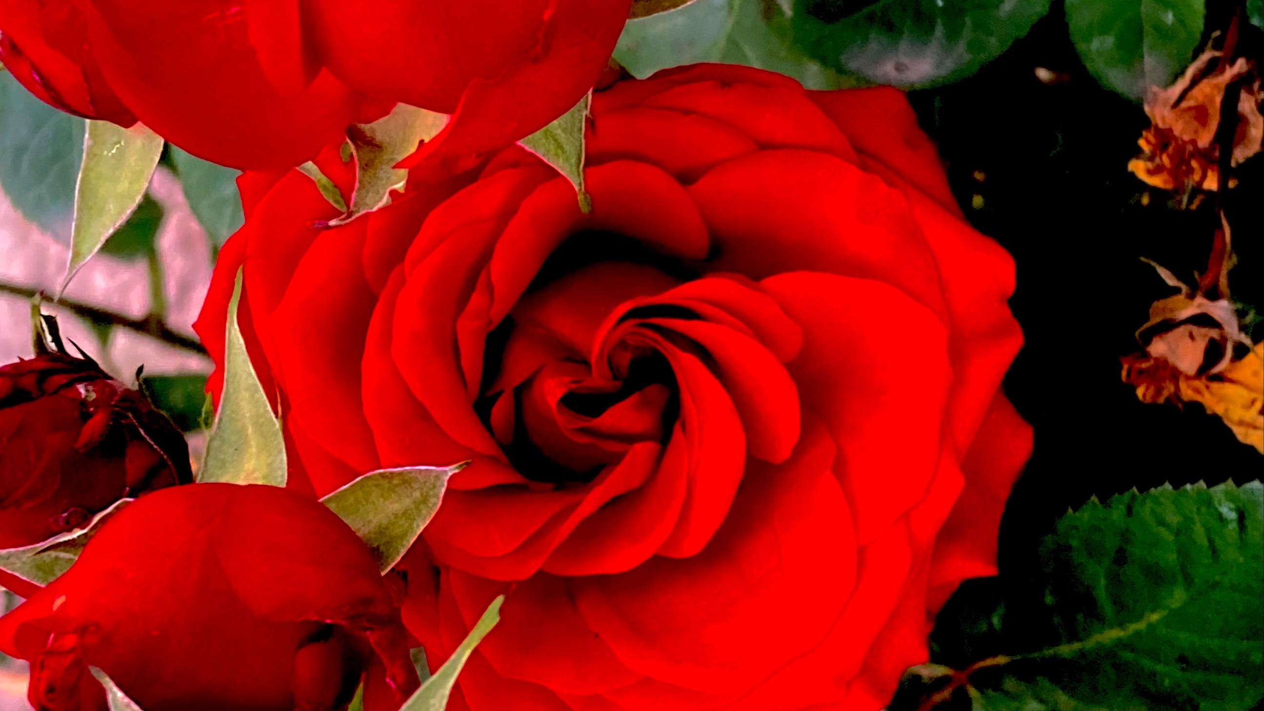 State of Transition | Sia K S