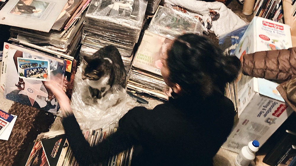 Music Shrine | Amuleto Manuela