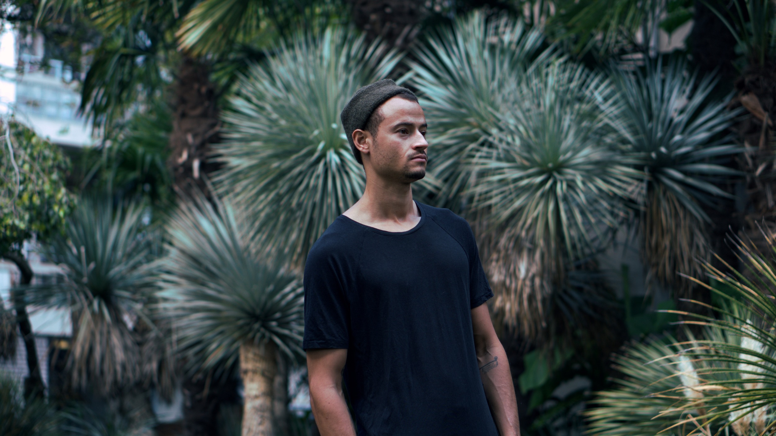 Our Society Takeover | DVDE