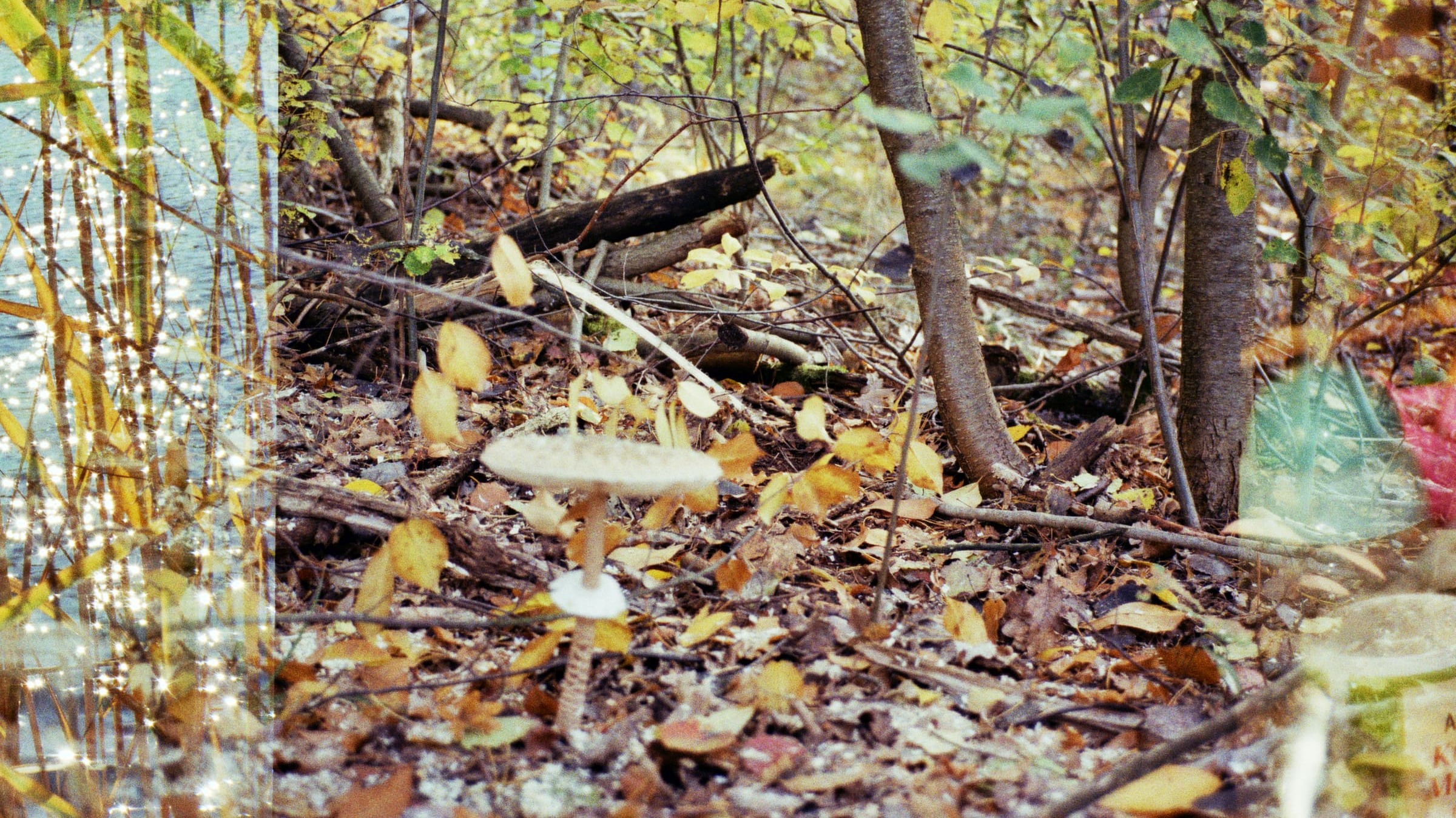 kaleidoscoping | krstn