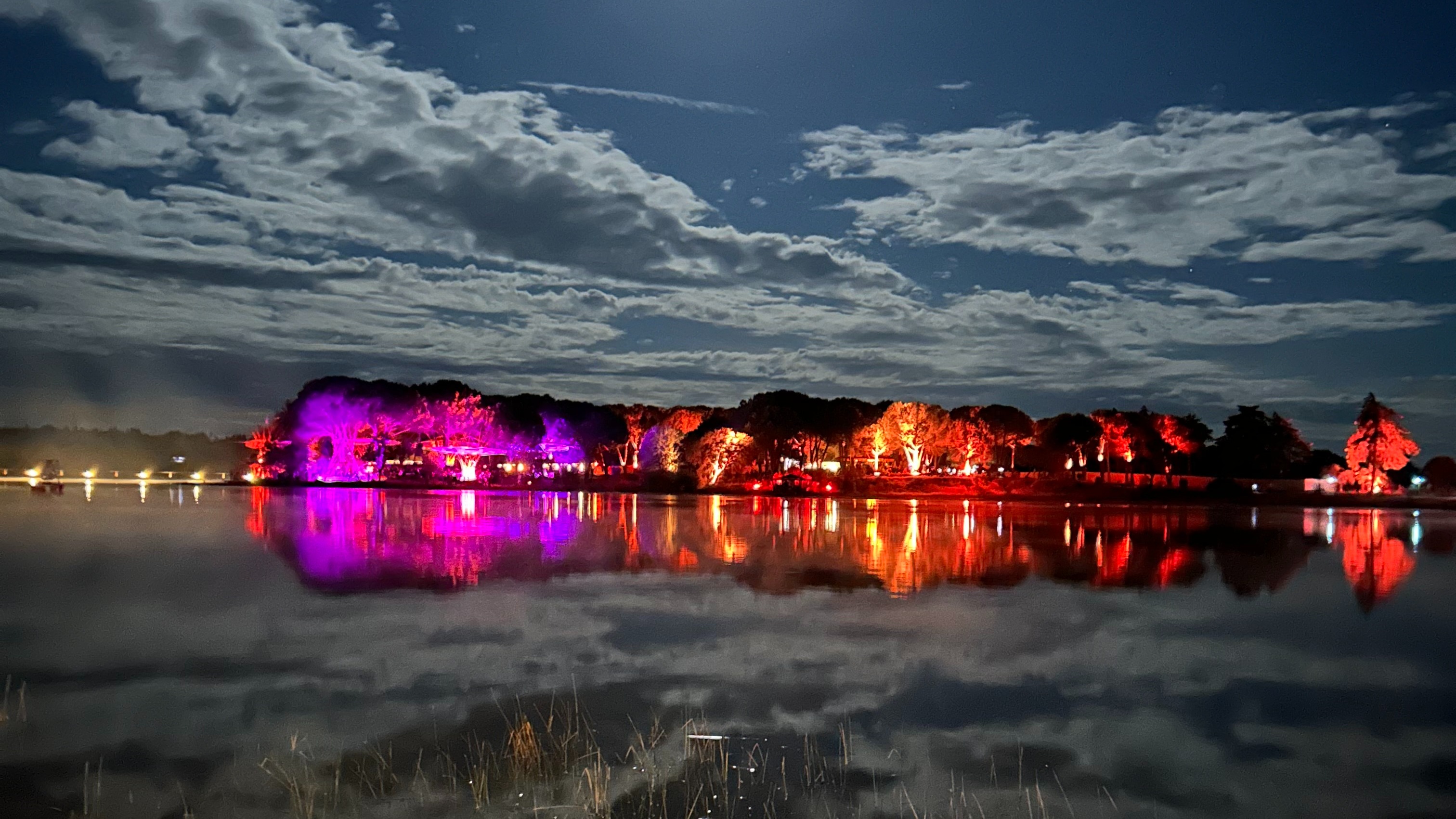 Lost in Transmission | Madame Shazzzam