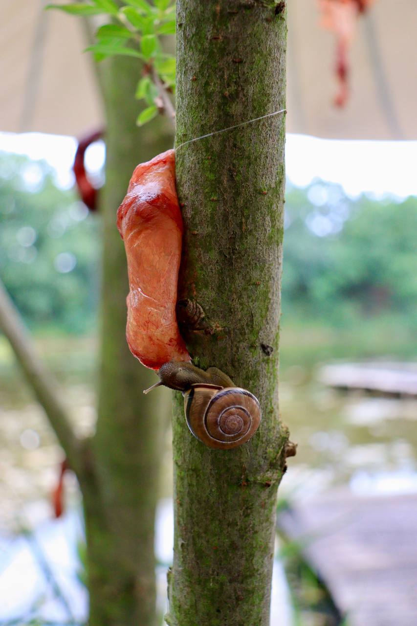 Listening into hope | Spatial Strategies