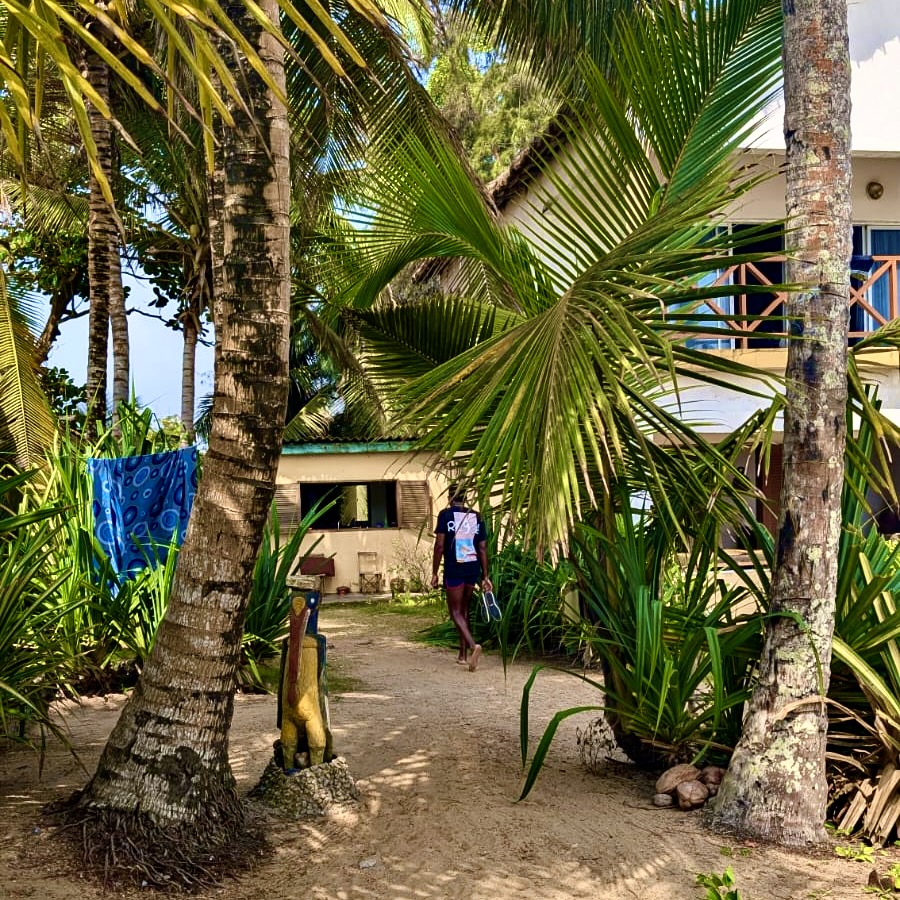 Sweet Fanta Diallo | Hervé