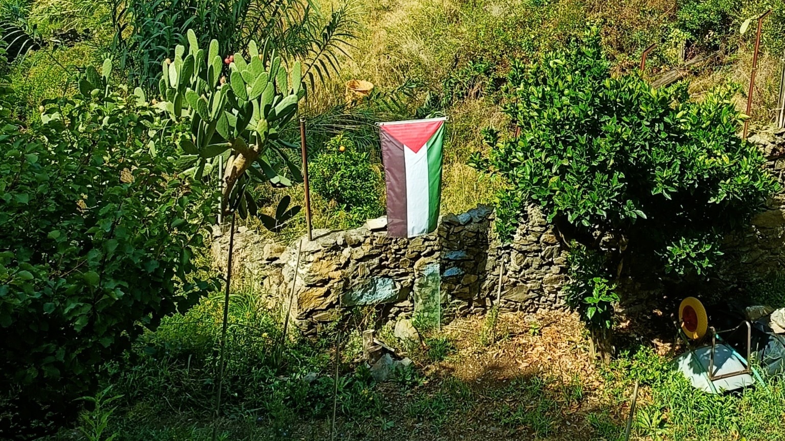 Filasṭīn | Meriem S