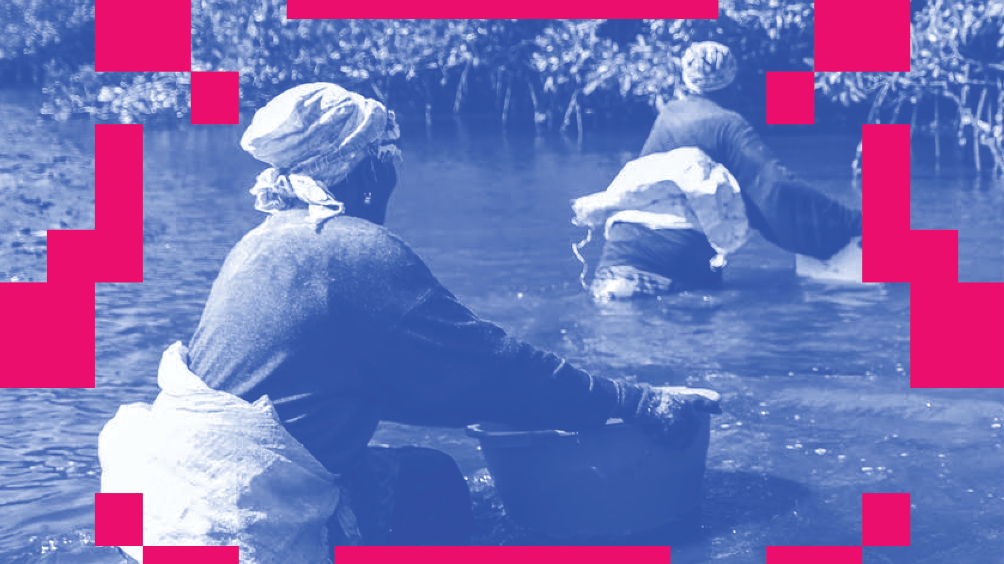 Mangrove Archives of the Blue Book Women | When The Jackal Leaves The Sun