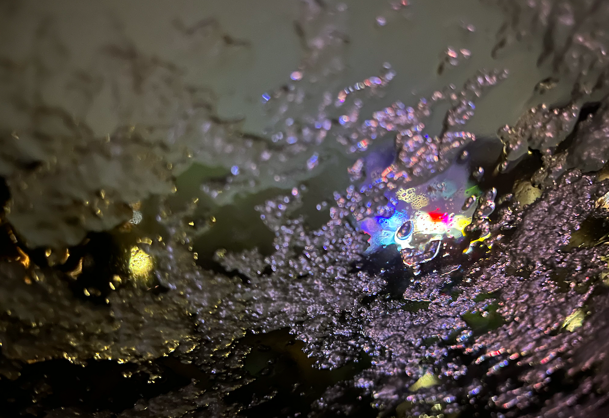 The Show Where We Just Listen To John Coltrane | Calum