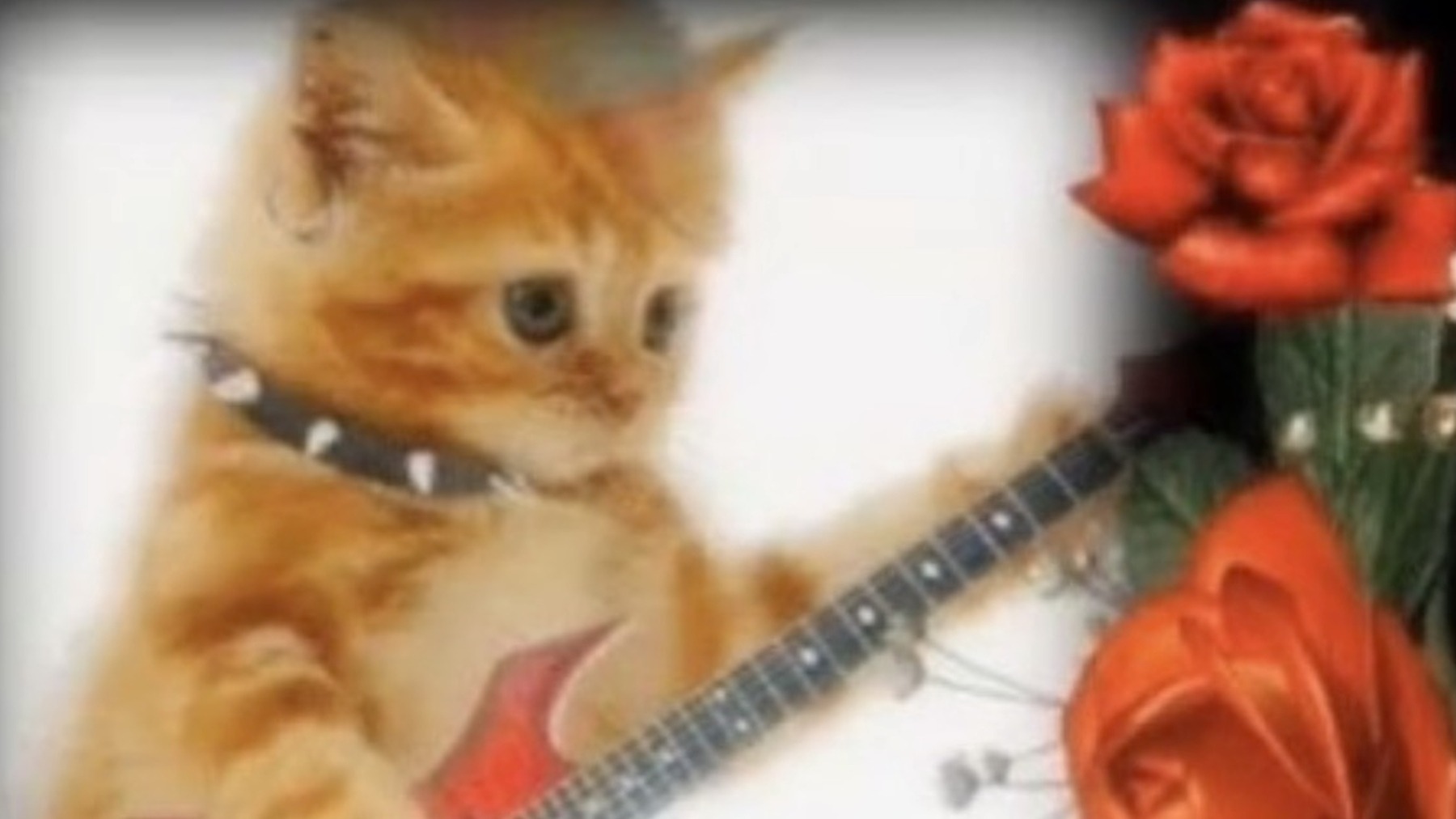 Resonate013 | Golden Medusa