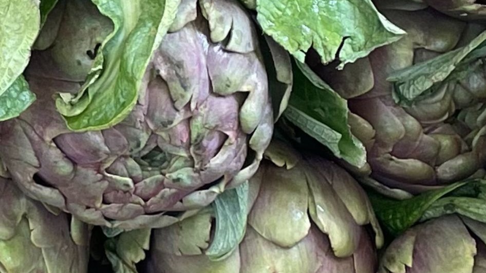 Waved | Holten & DJ Gary