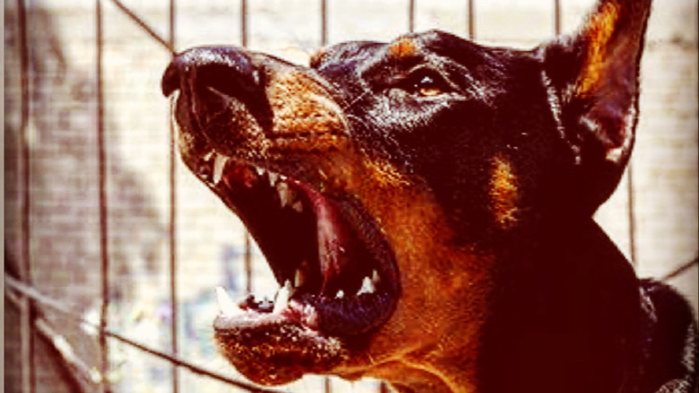 Rapatop Tour | DJ Luh 