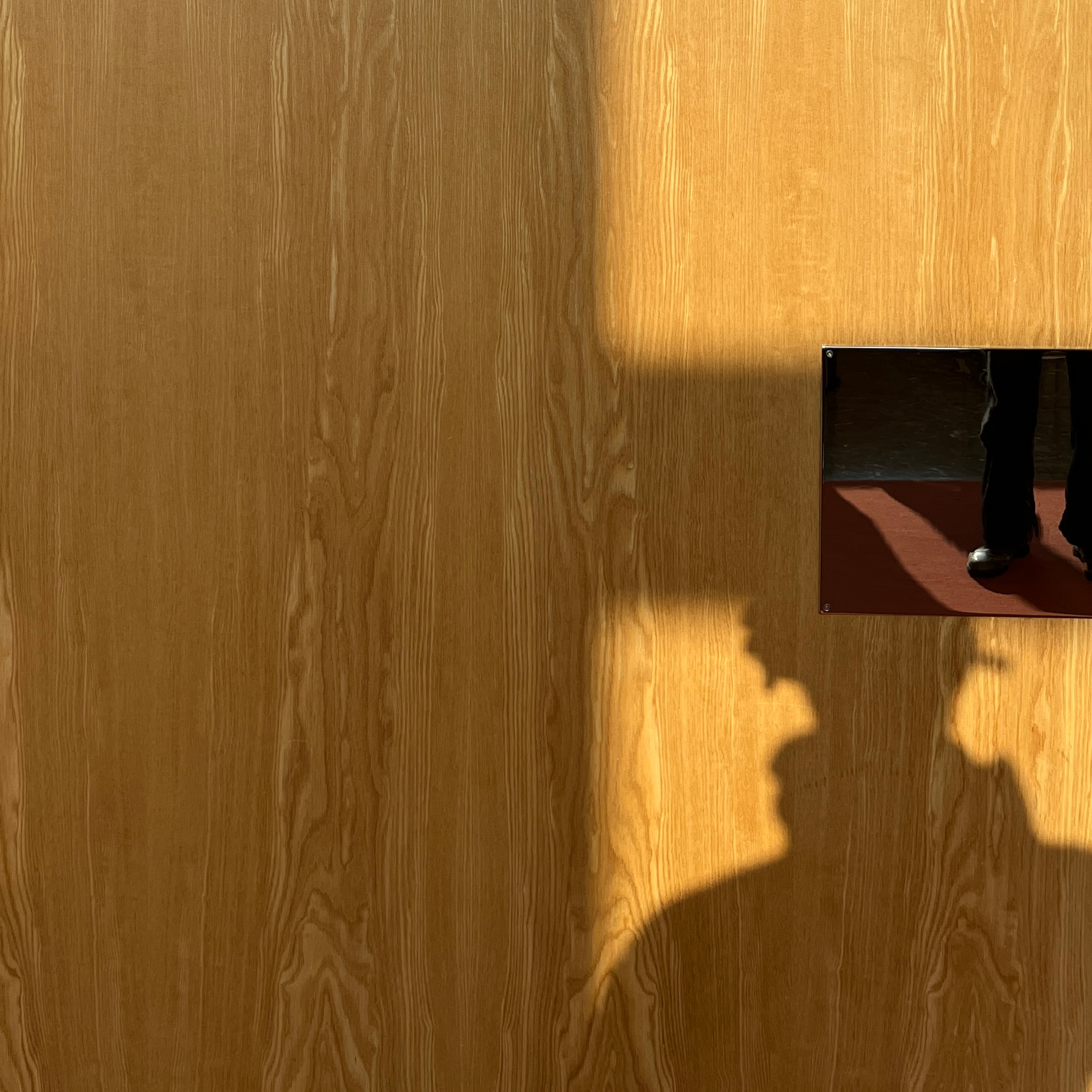 Falling Dogs | Neckbone