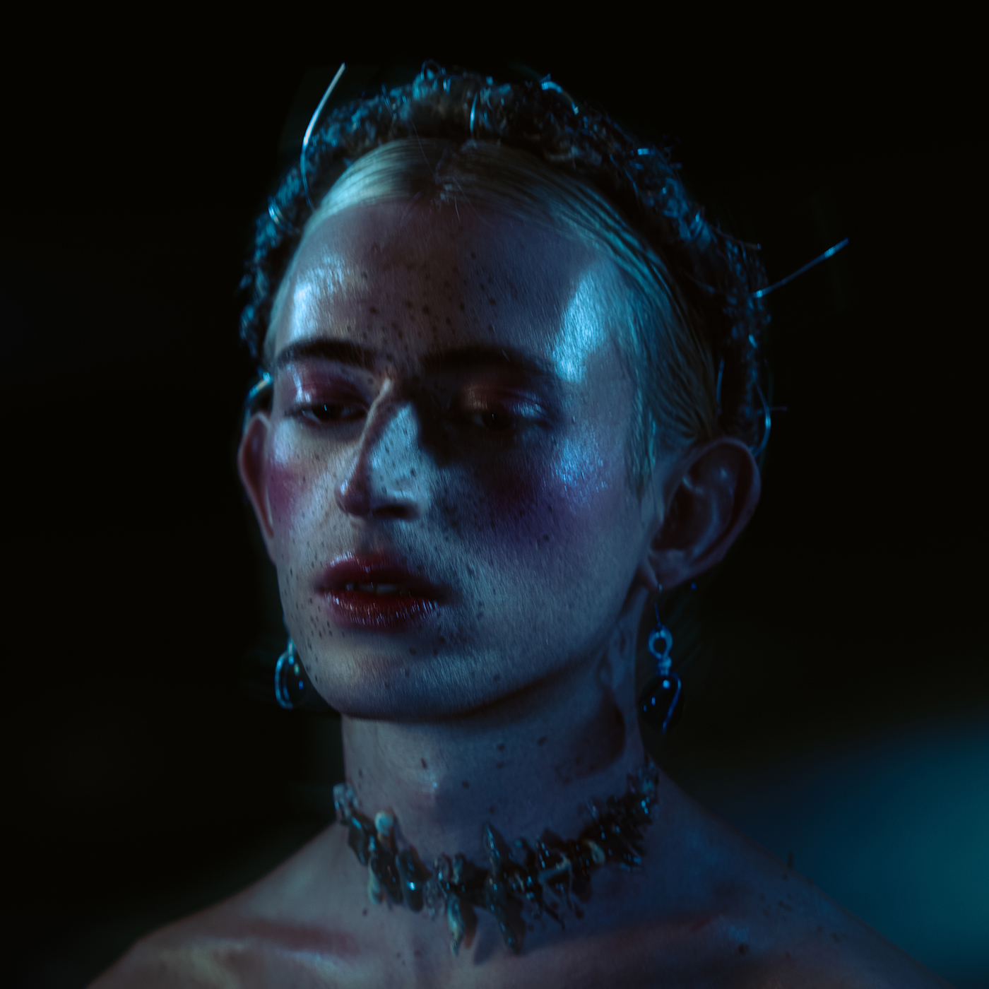 Barking Dogs | Gabriel Gifford