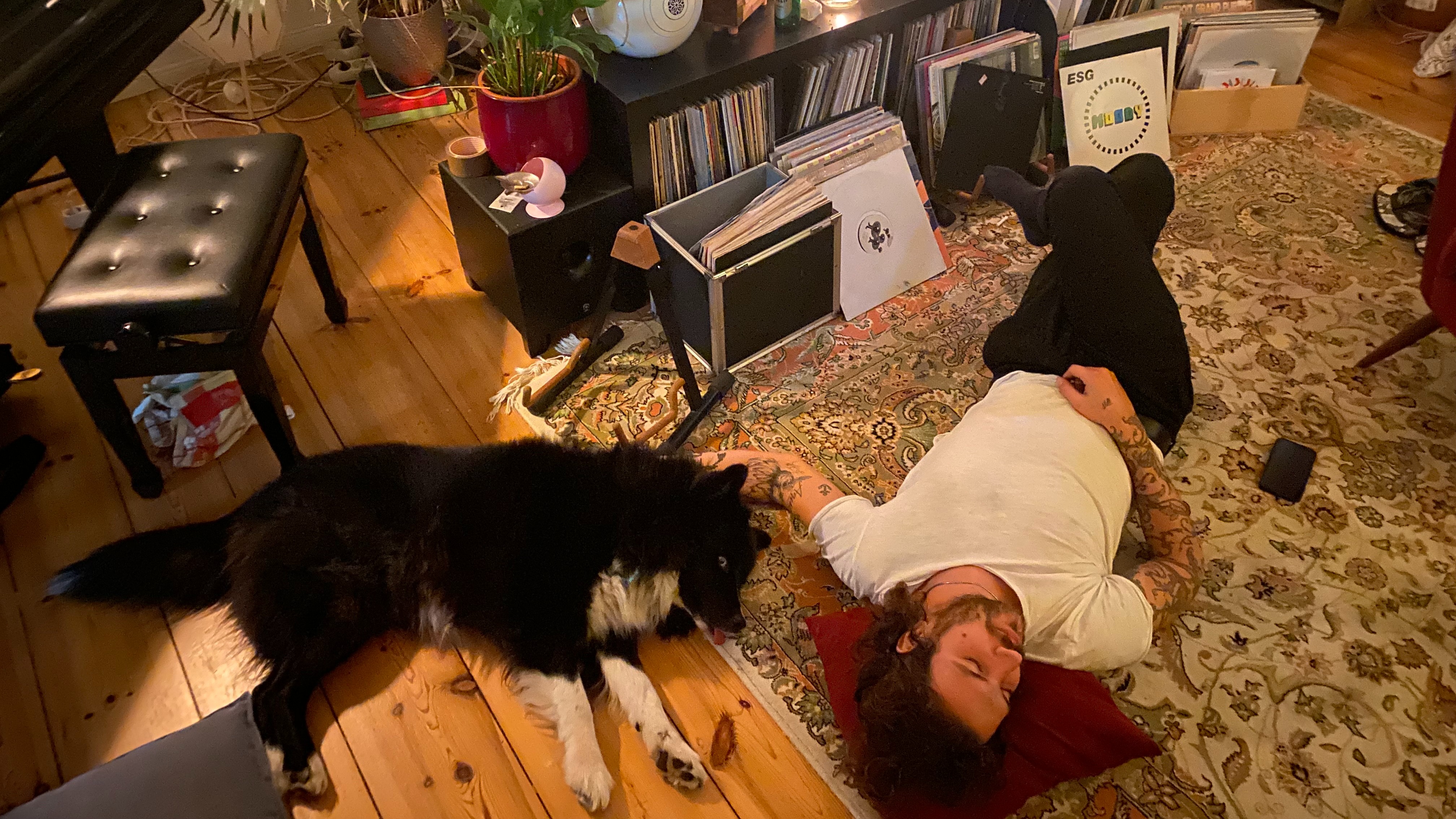 Smells Like Troubole