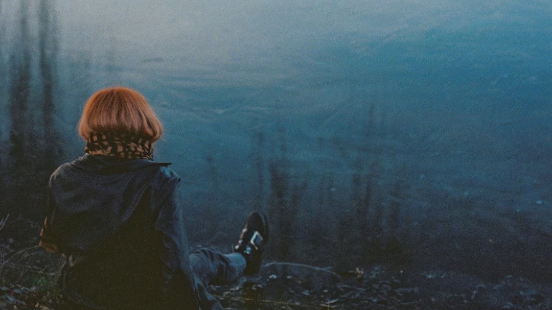 Paloma Negra | Laura Vargas 