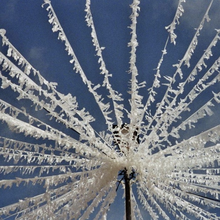 Is This Sound Okay? | Zoe