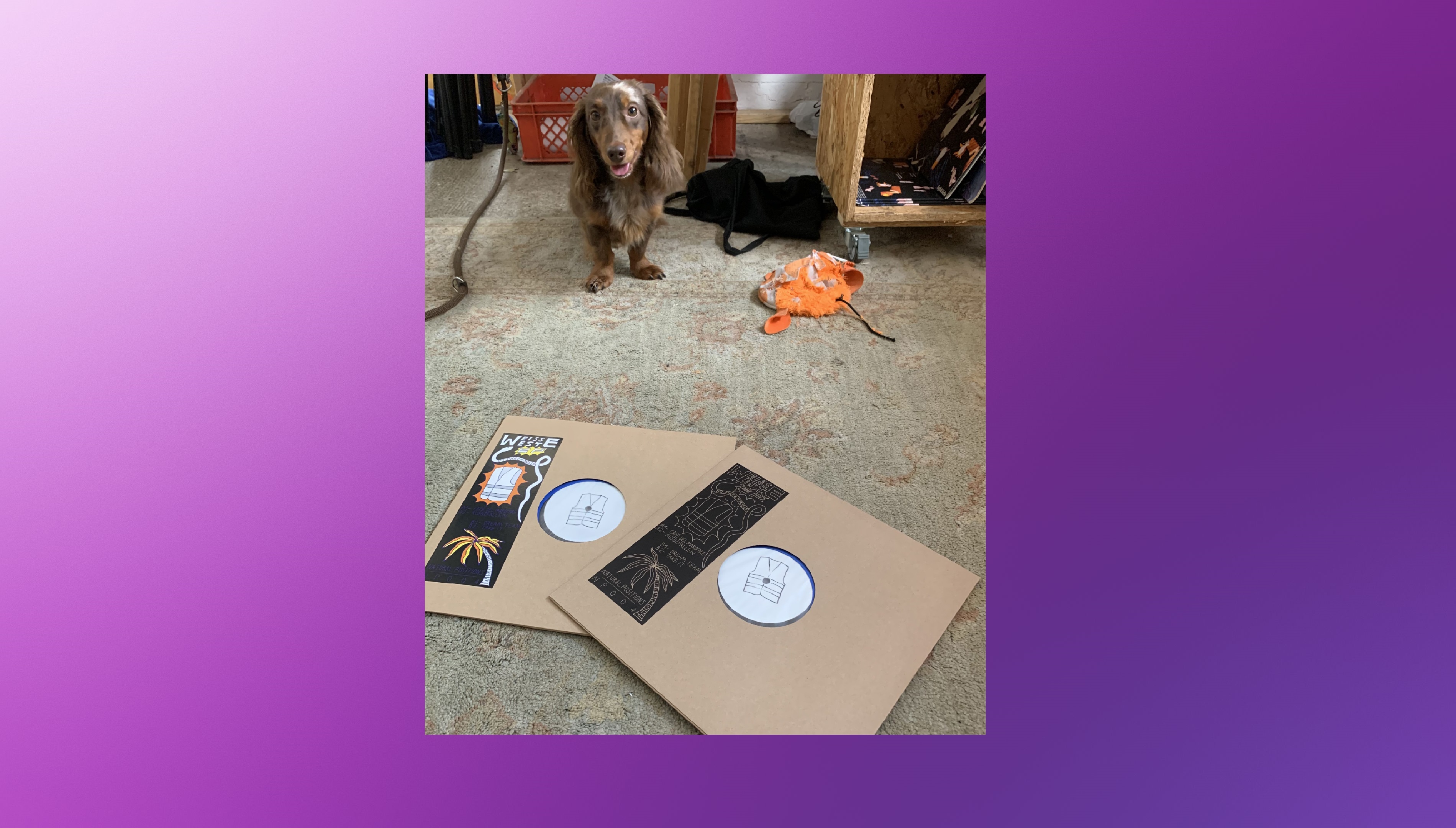 RAIDAR: Weisse Weste EP Special