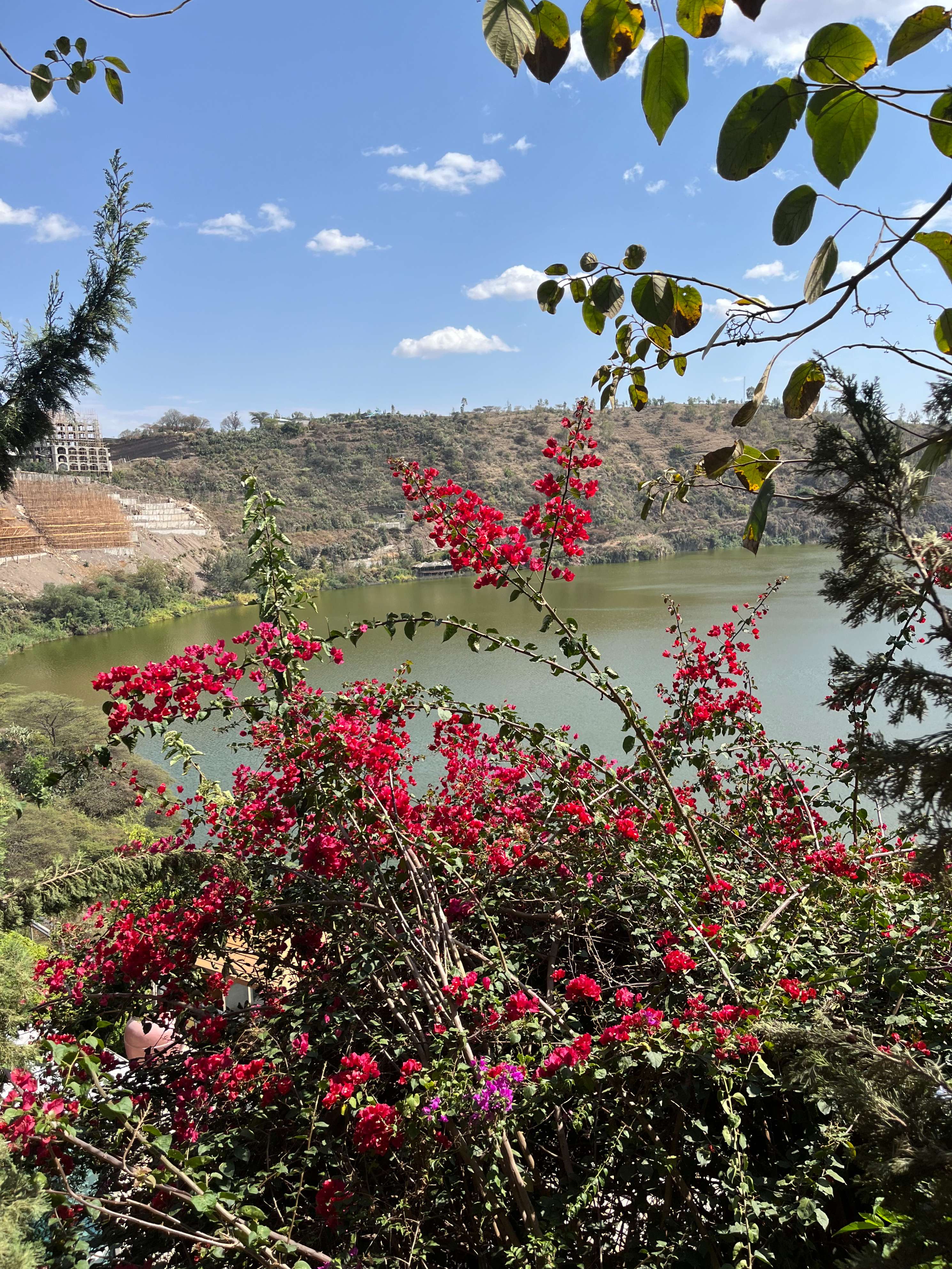Across Ethiopia | Sanoy