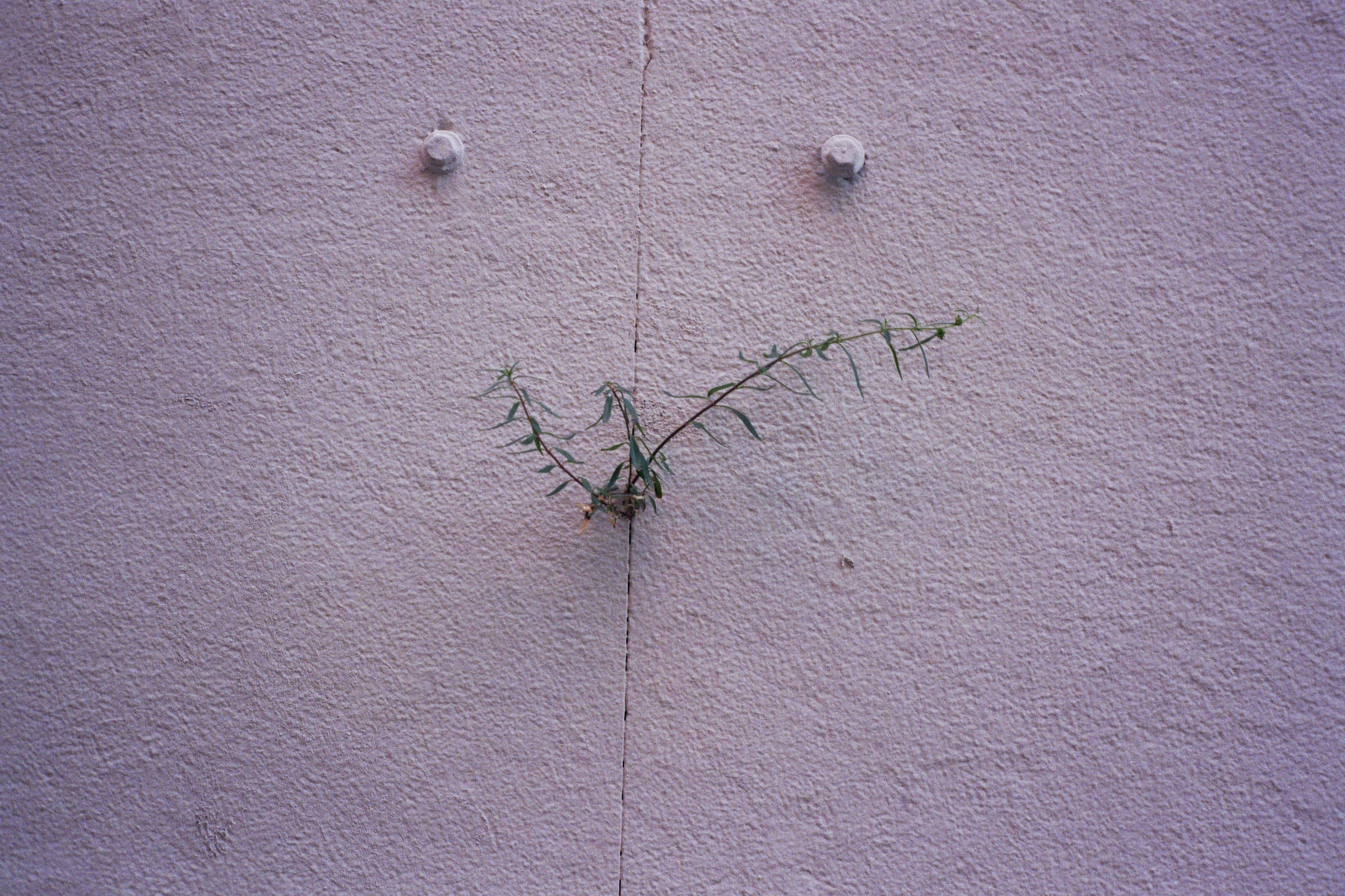 kaleidoscoping | krstn