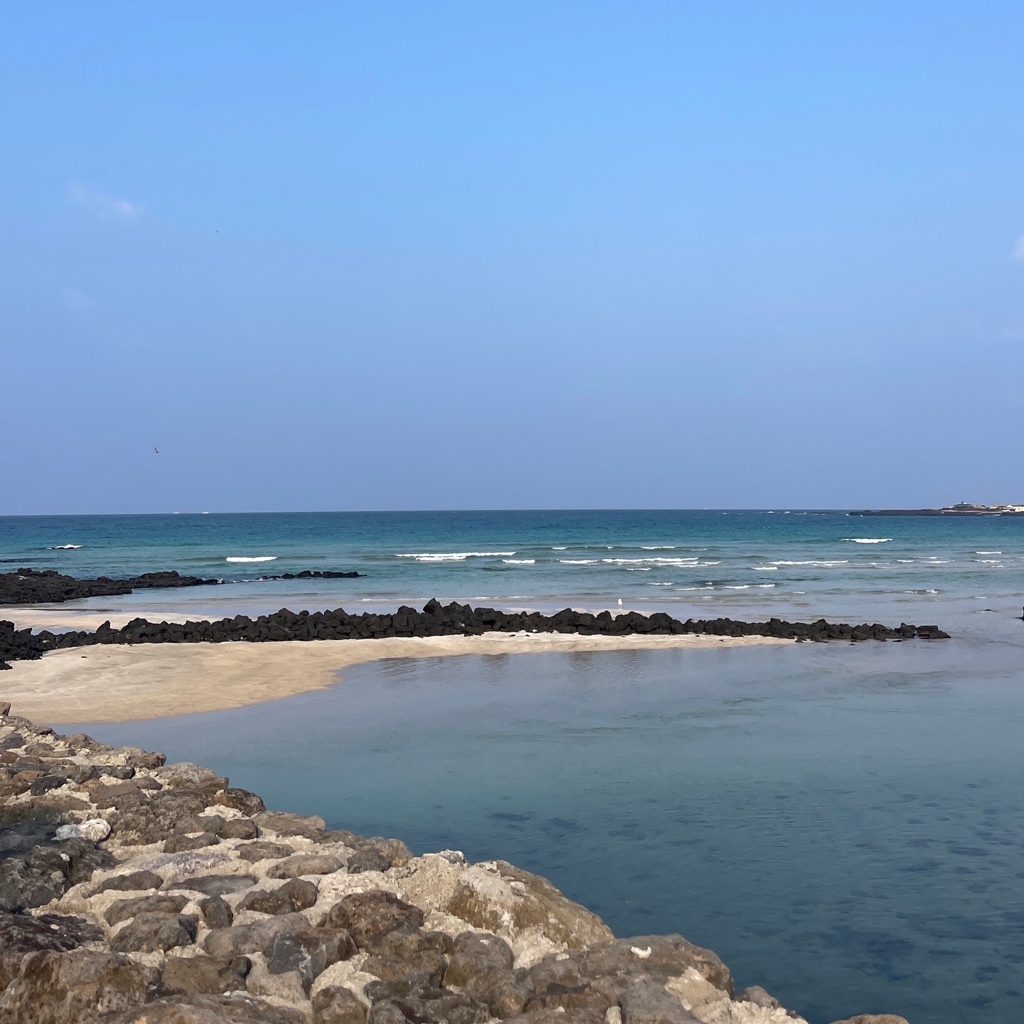 ANIMA SGN | Kodac Ko & Yo-E Ryou