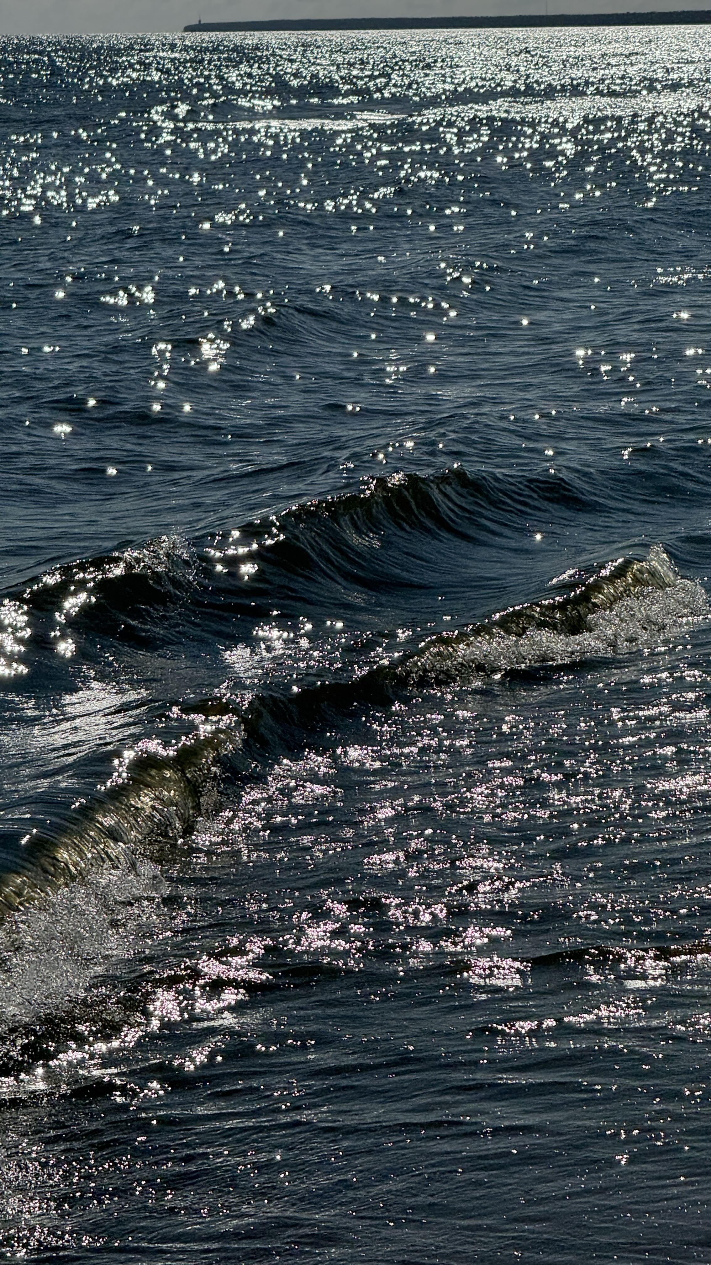 Memory Drop | COSMOS, ICRN & R_R_