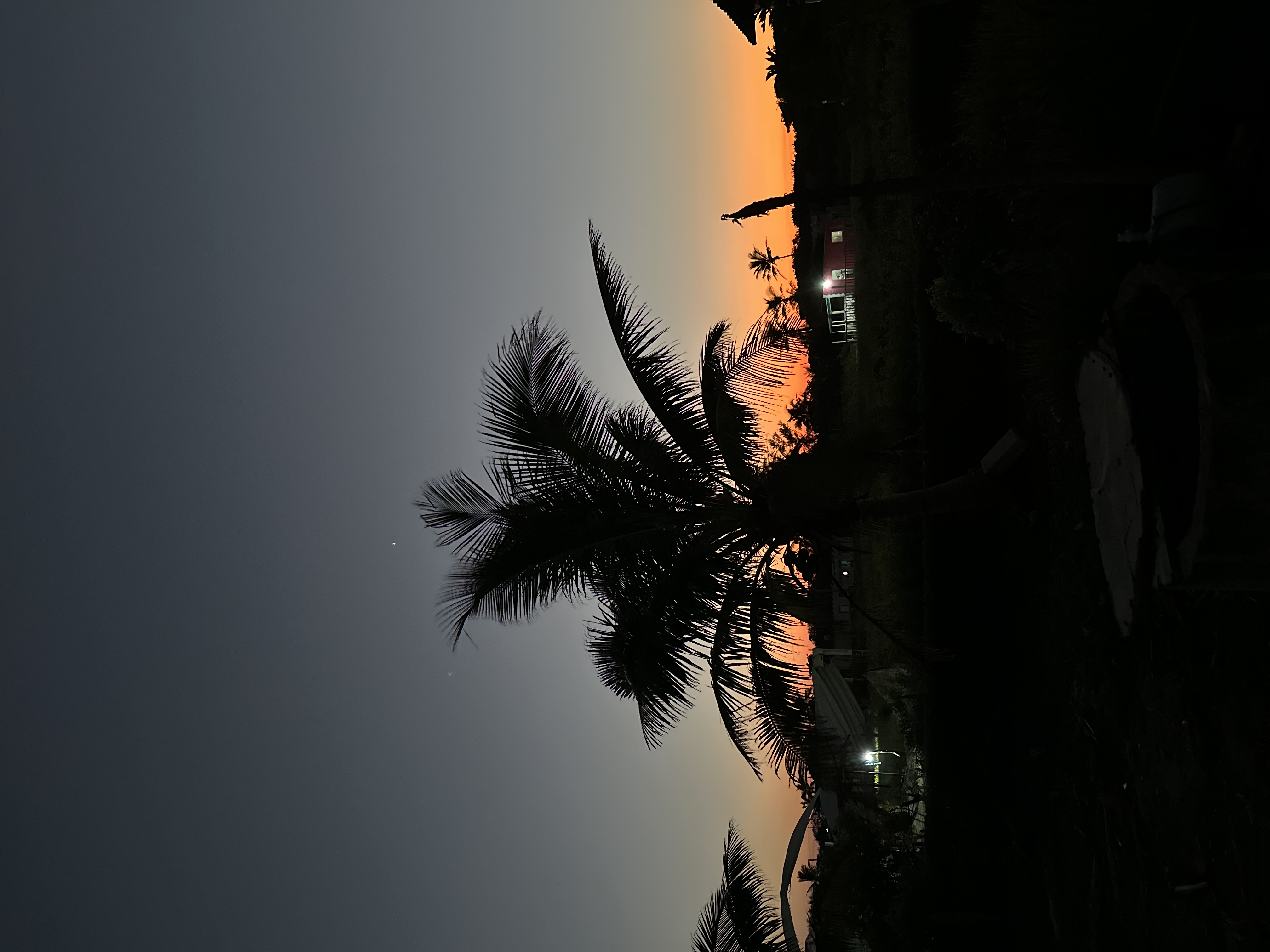 End Of Year Special | Barrio Archives