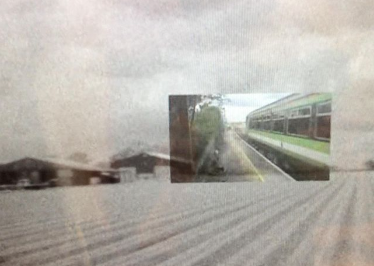 Jank Incorporated | Jank Inc. & Glu