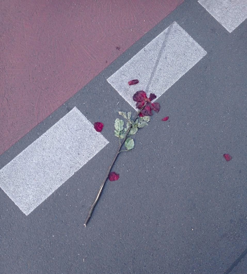 BB2BB2BB | DJ Pendejo, C4CHORR0 N/N & Catfish