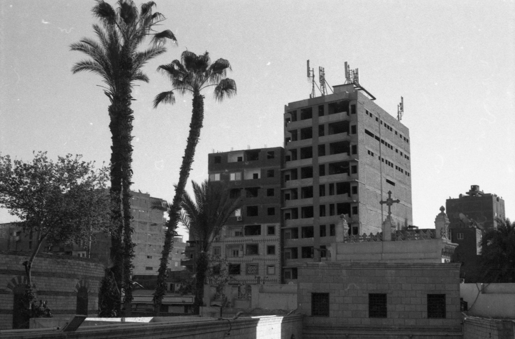 CairoCruisin | Shayan 