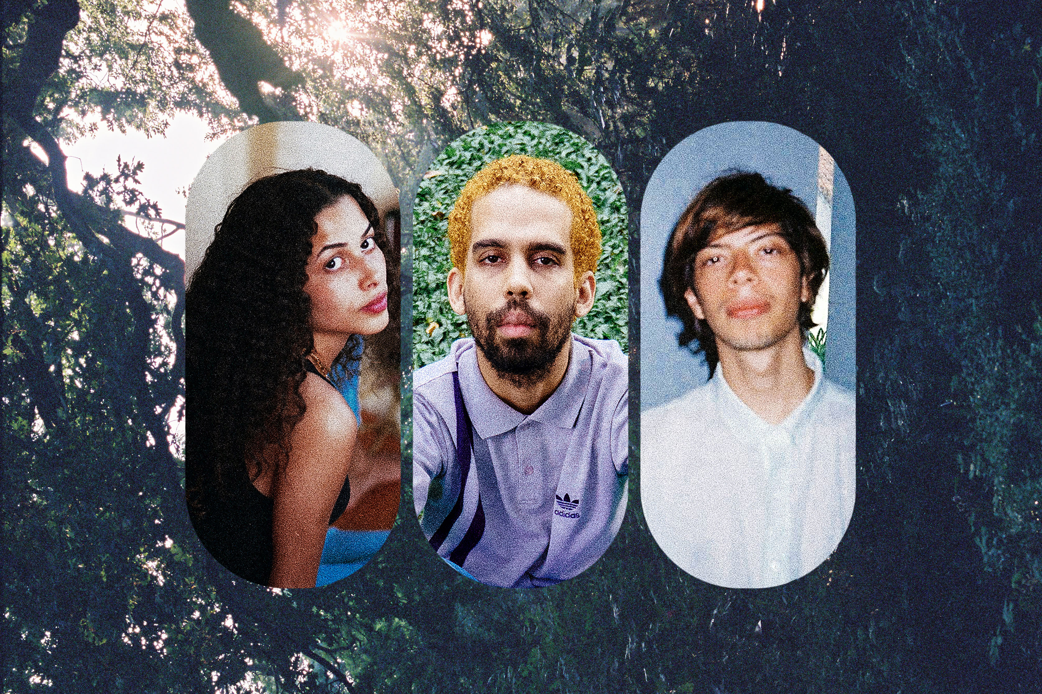 Entre Trópicos | forastero, Bruno Berle, alici & Batata Boy