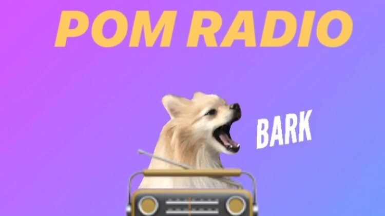 Pom Radio | Luigi Di Venere