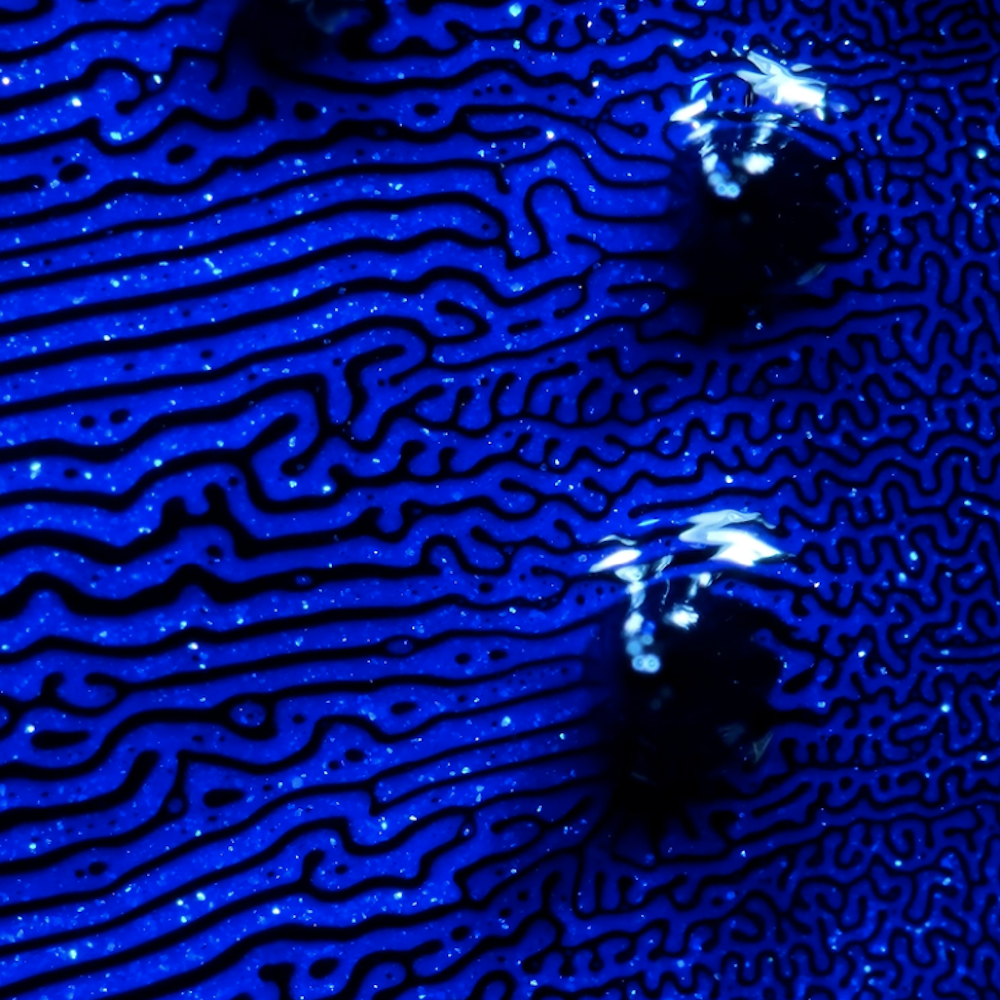 Gaswerk Music Festival 2025 | Romain Azzaro & Gaswerk Team