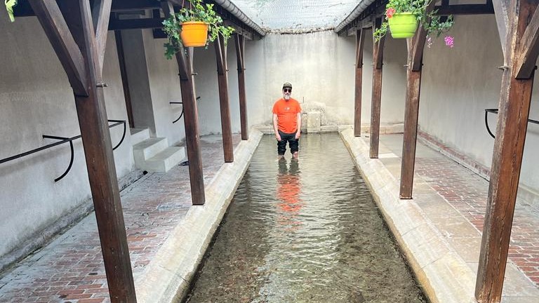 The Busted Bongo | D. Strauss