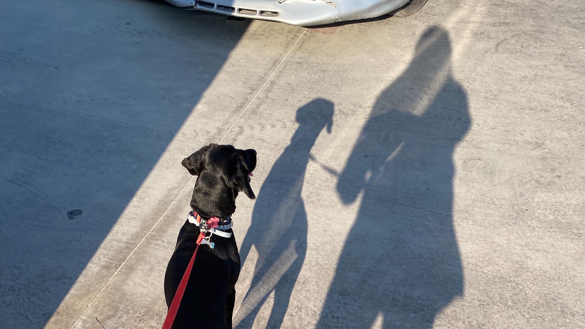 coming of age | Ilkyaz