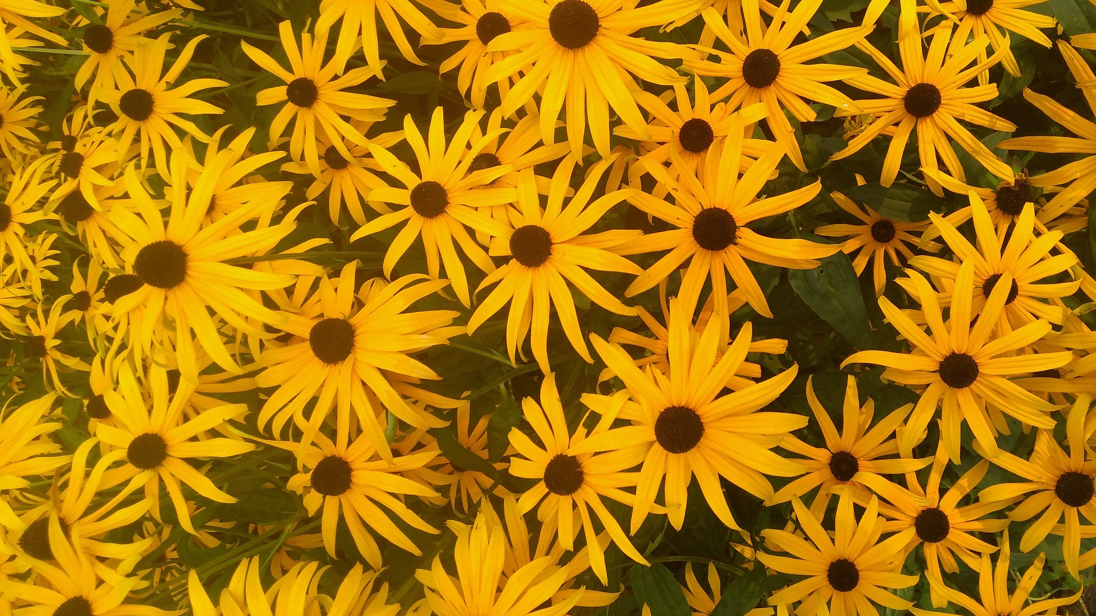 New Massage | Telephones