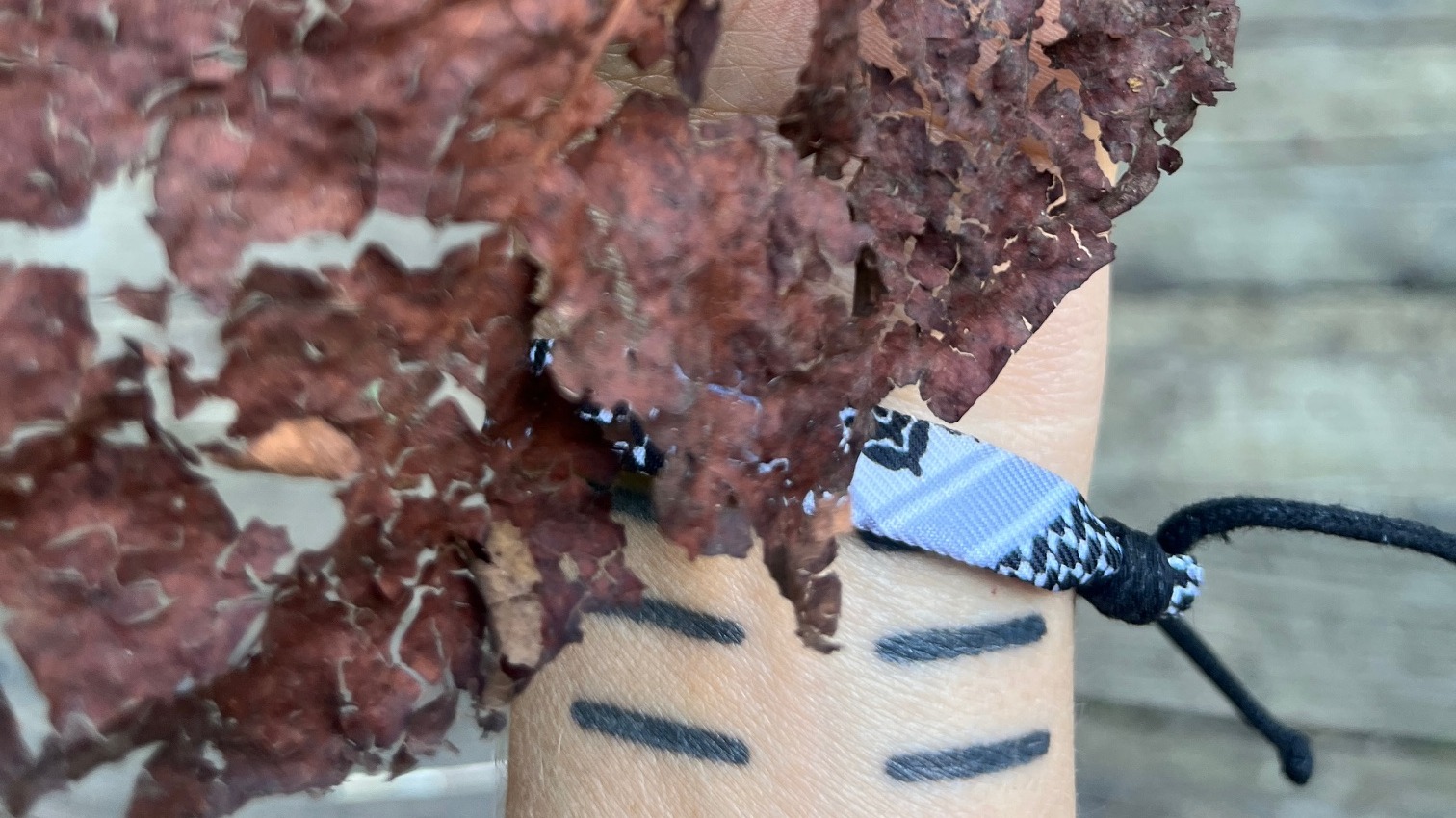 thinking about Palestine | DJ Femalemacho