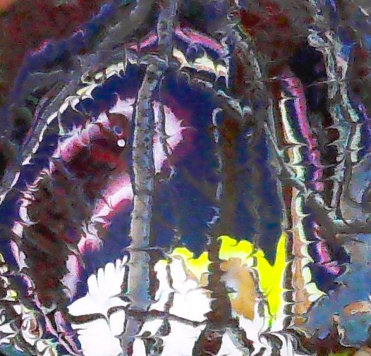 Love Life It's Free!!!! | Burkey