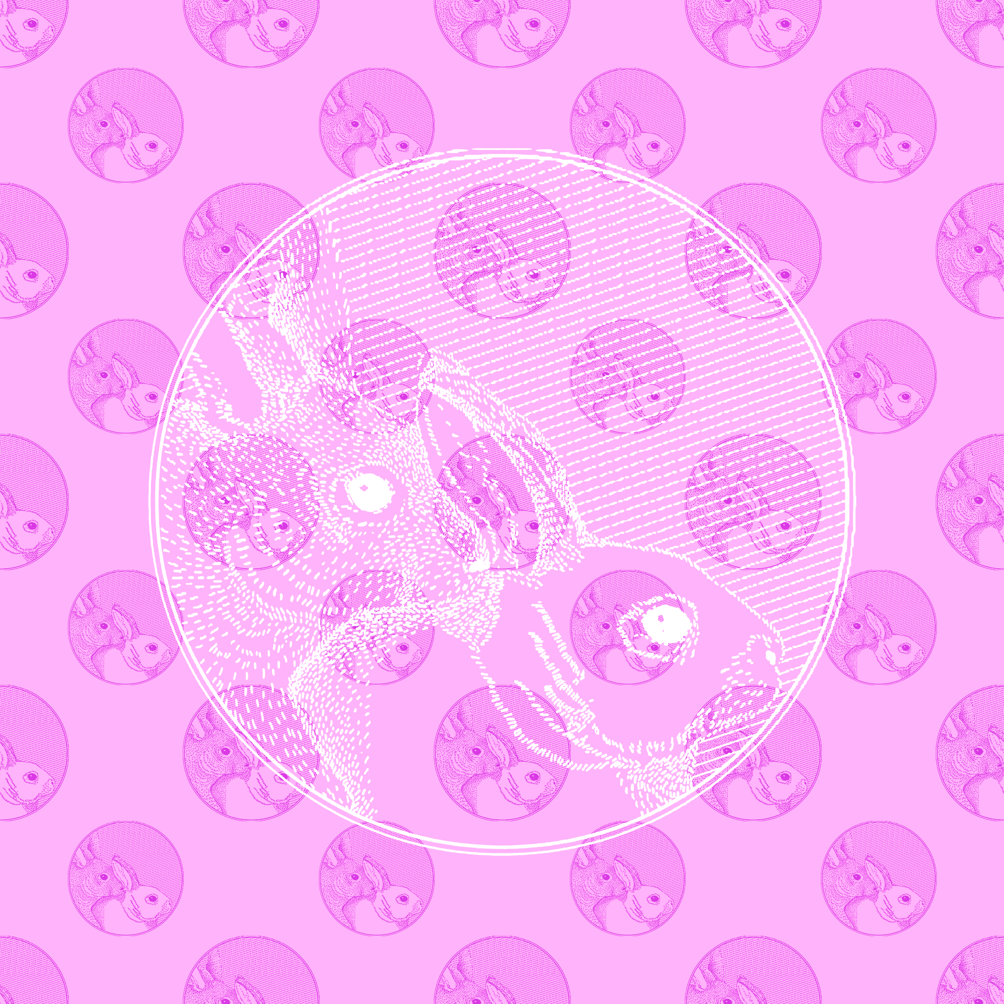 Chiqui Records Launch Party | ABNAMA, PSL, Camilla Rae, Kuo & Nikki 