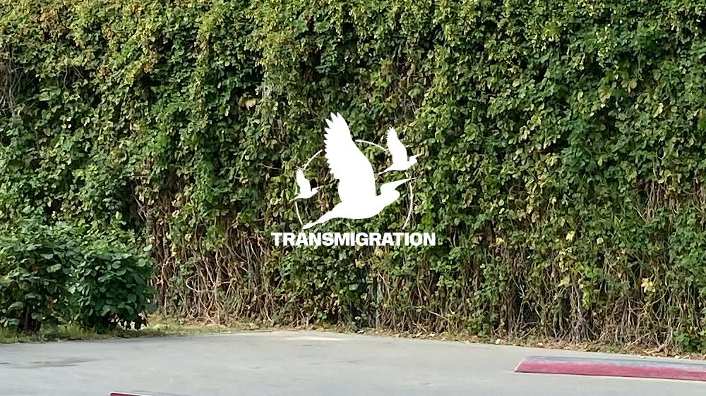 Transmigration | David Fogarty & Alicia Carrera